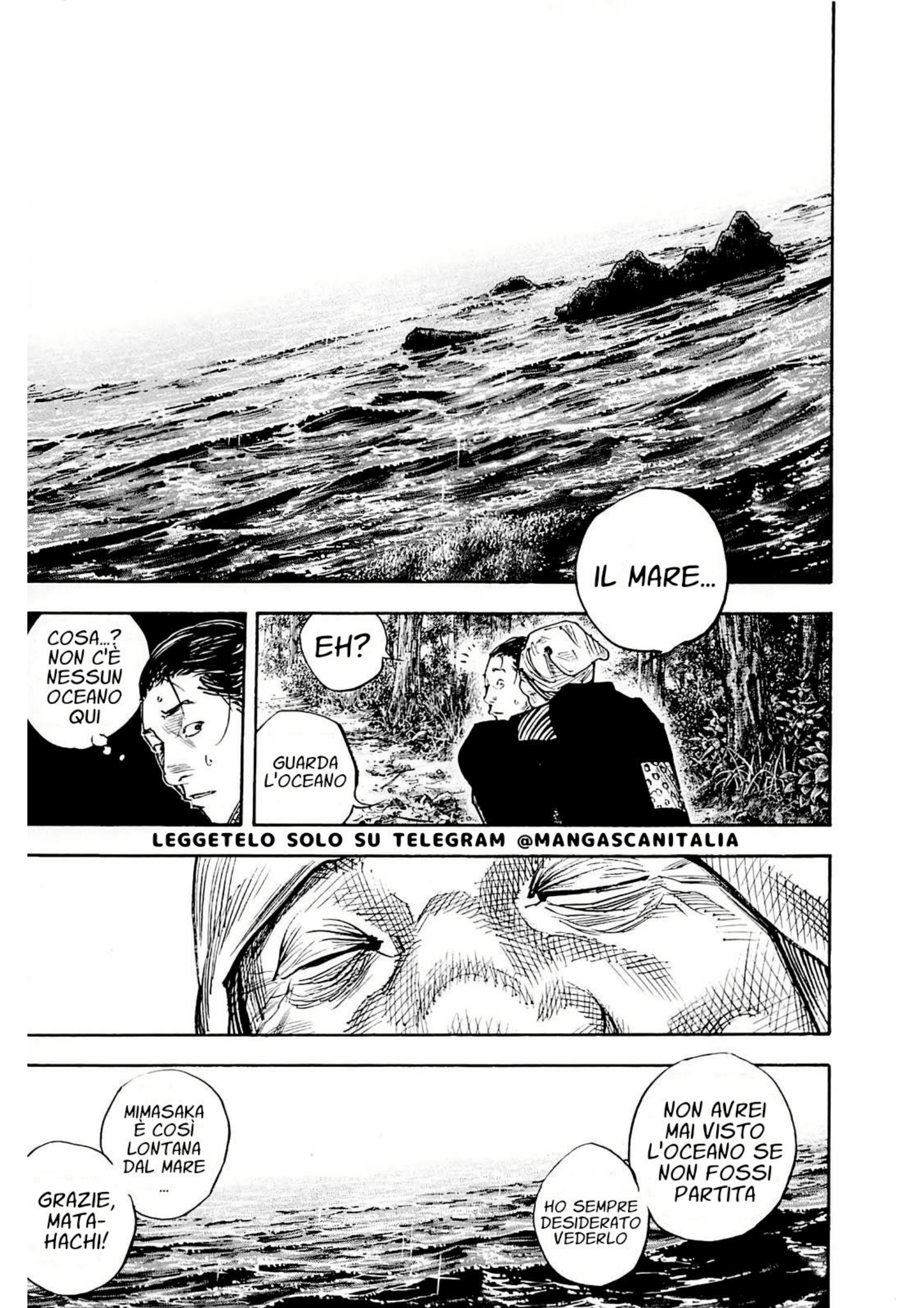 Read Vagabond IT Manga Online