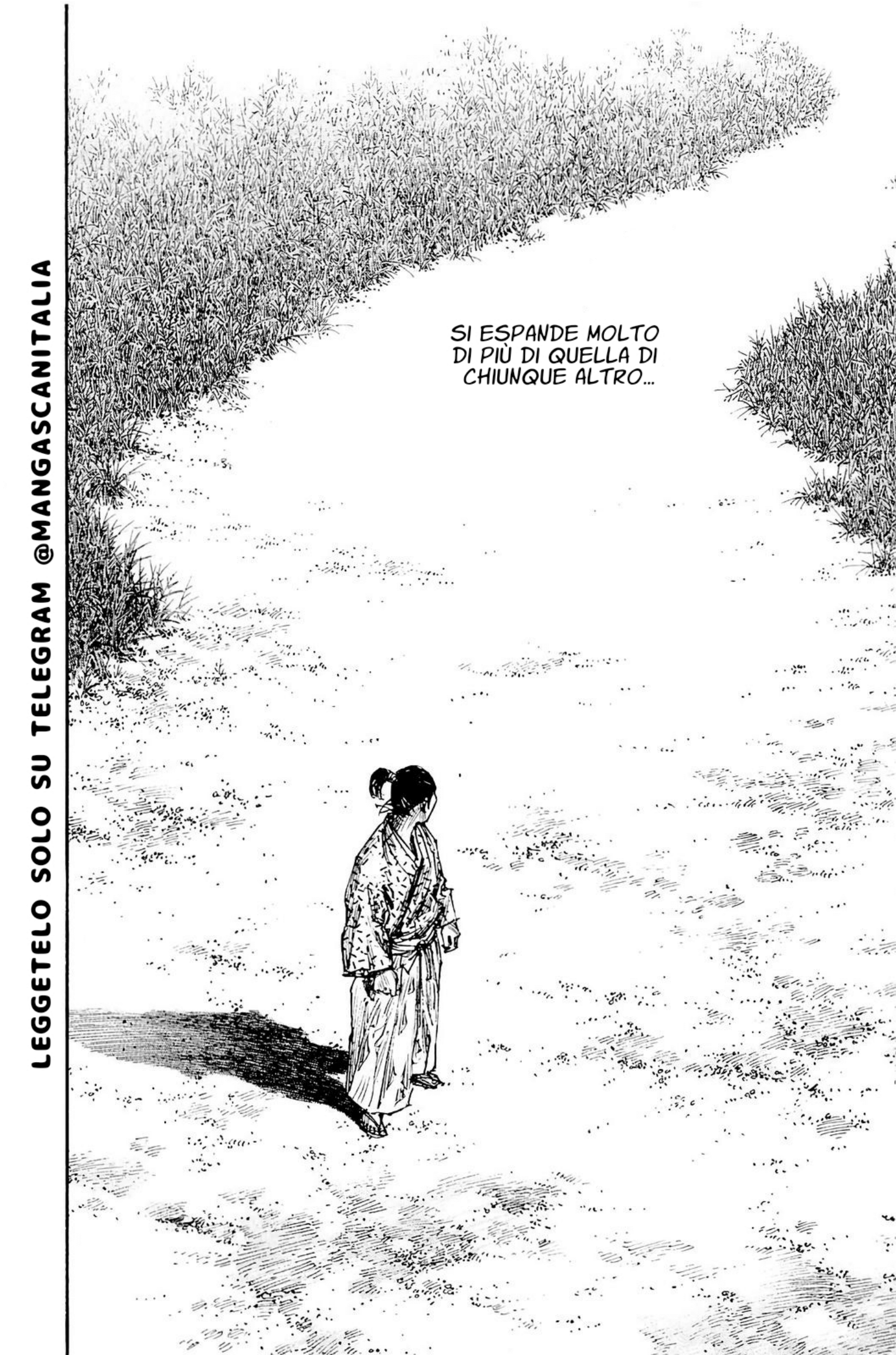 Read Vagabond IT Manga Online
