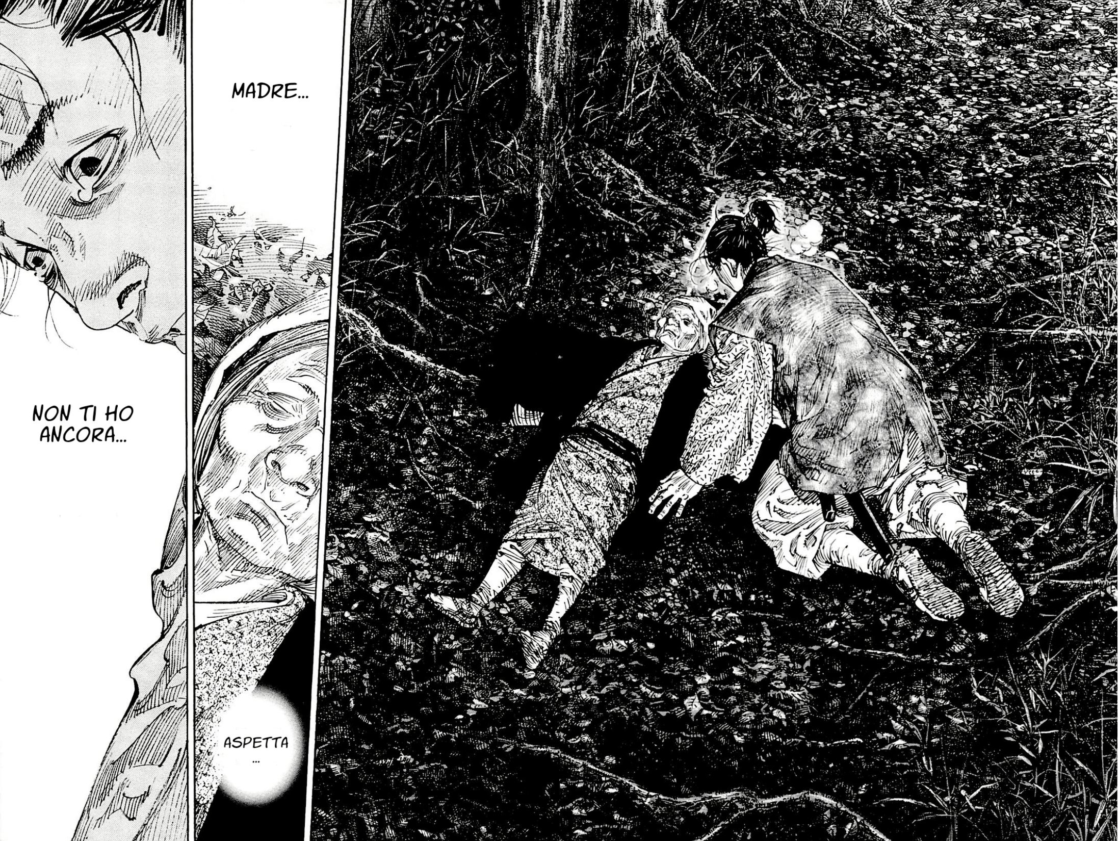 Read Vagabond IT Manga Online