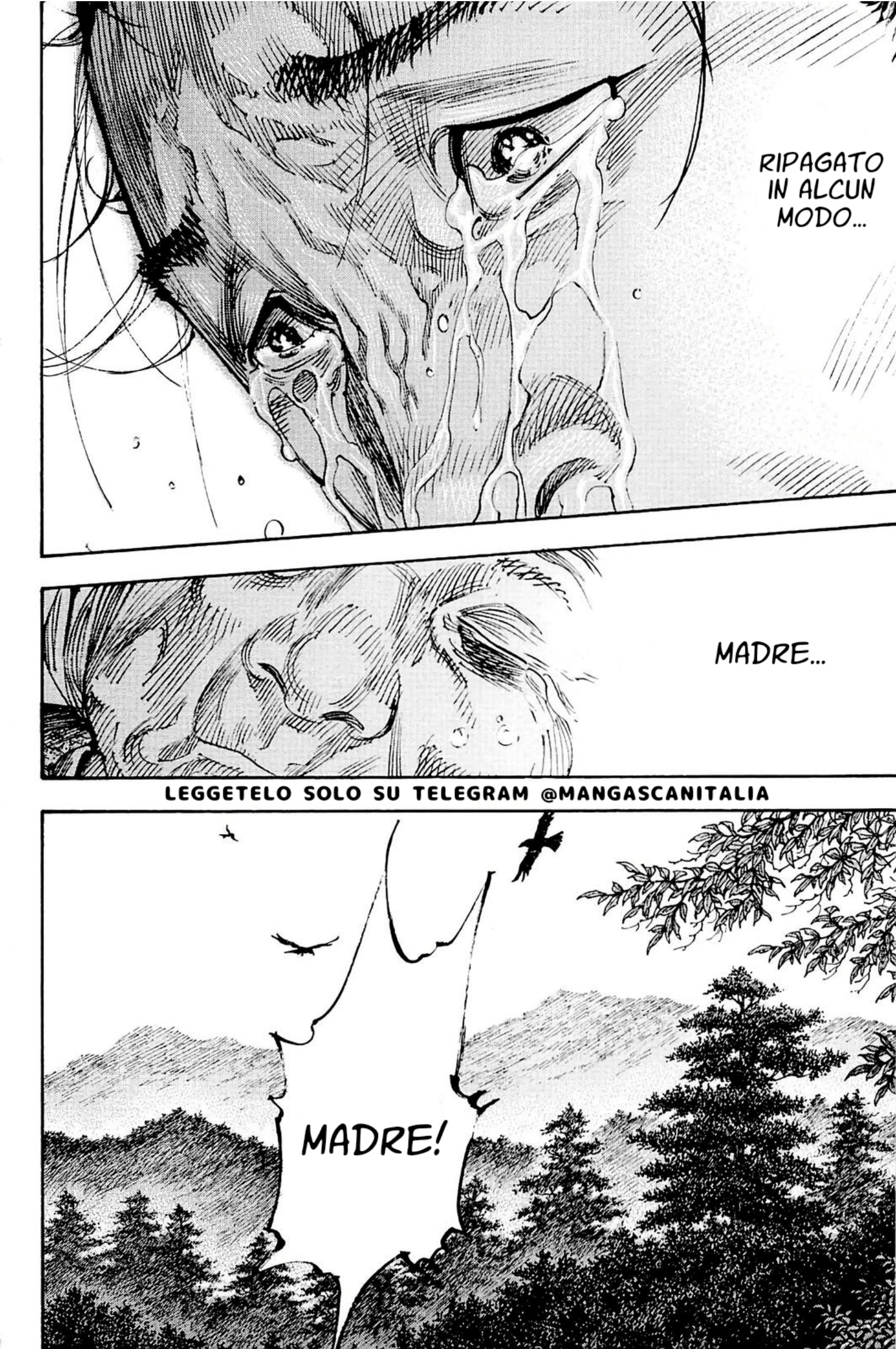 Read Vagabond IT Manga Online