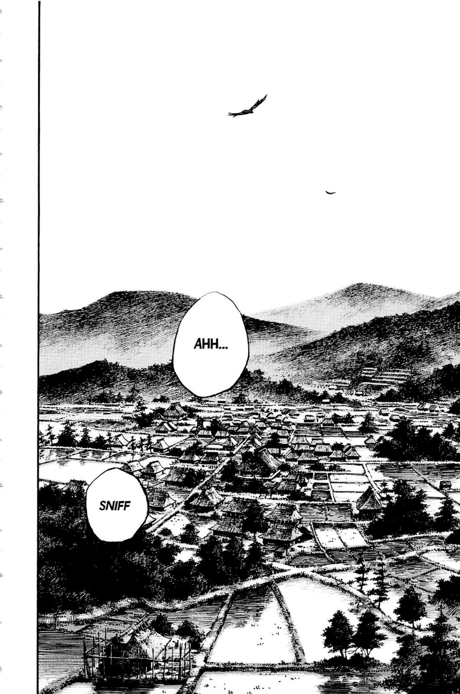 Read Vagabond IT Manga Online