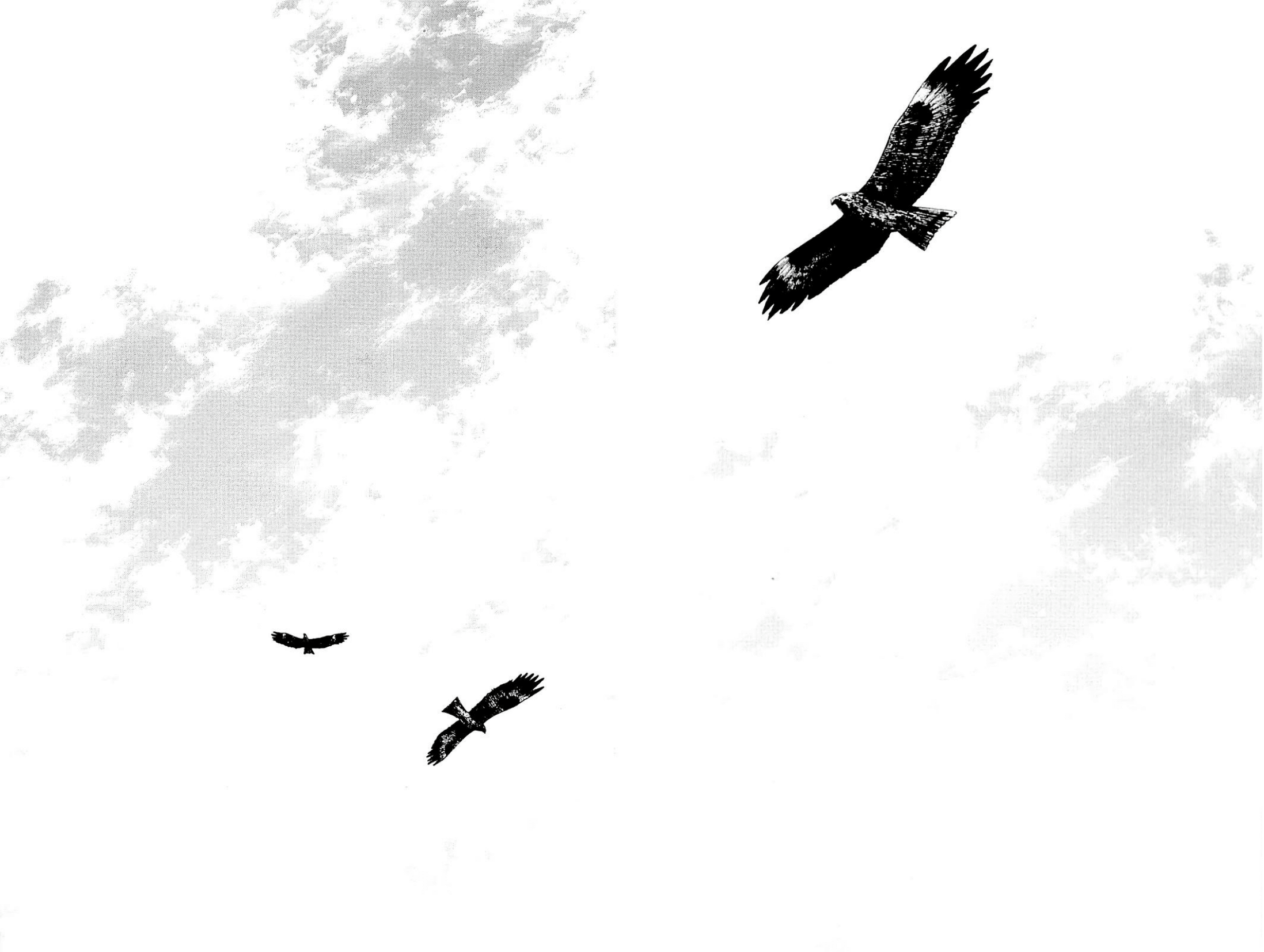 Read Vagabond IT Manga Online