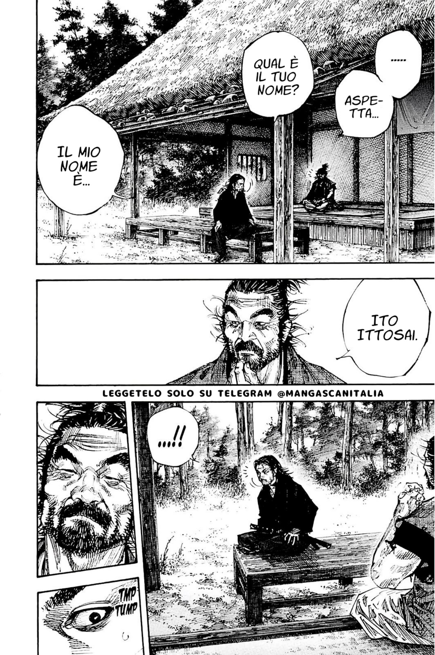 Read Vagabond IT Manga Online
