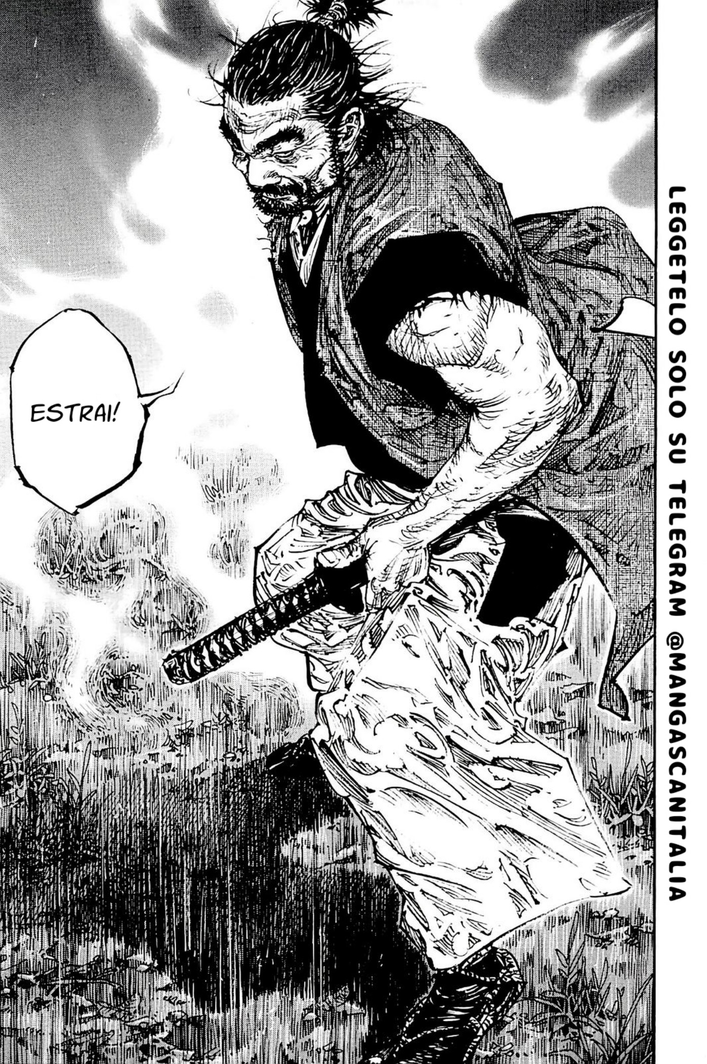 Read Vagabond IT Manga Online