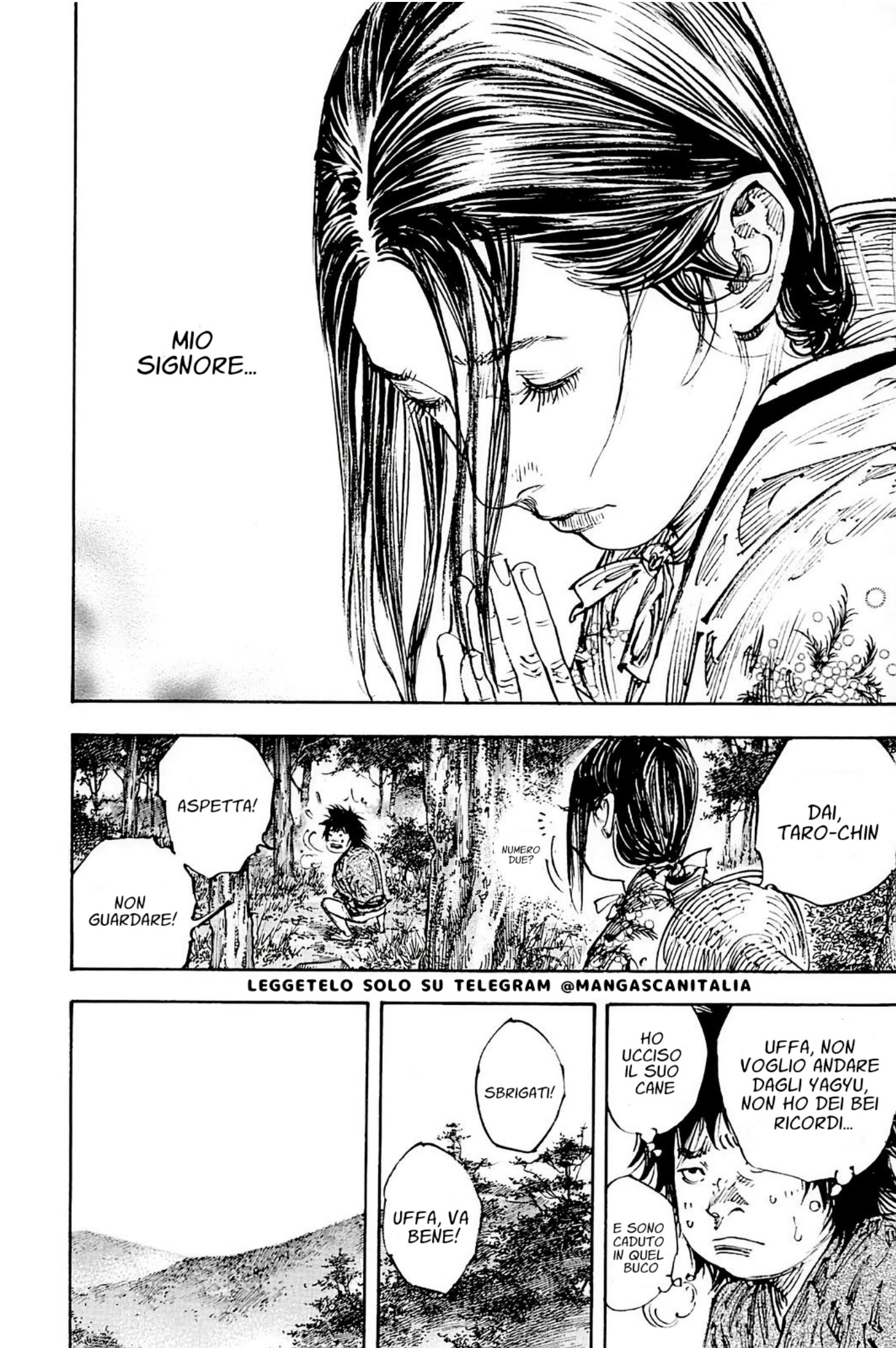 Read Vagabond IT Manga Online