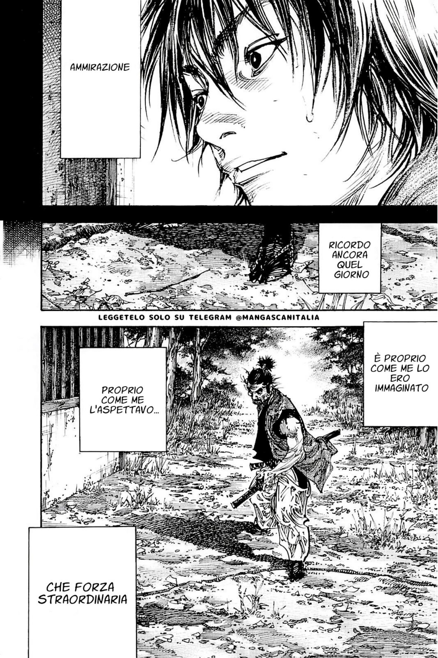 Read Vagabond IT Manga Online