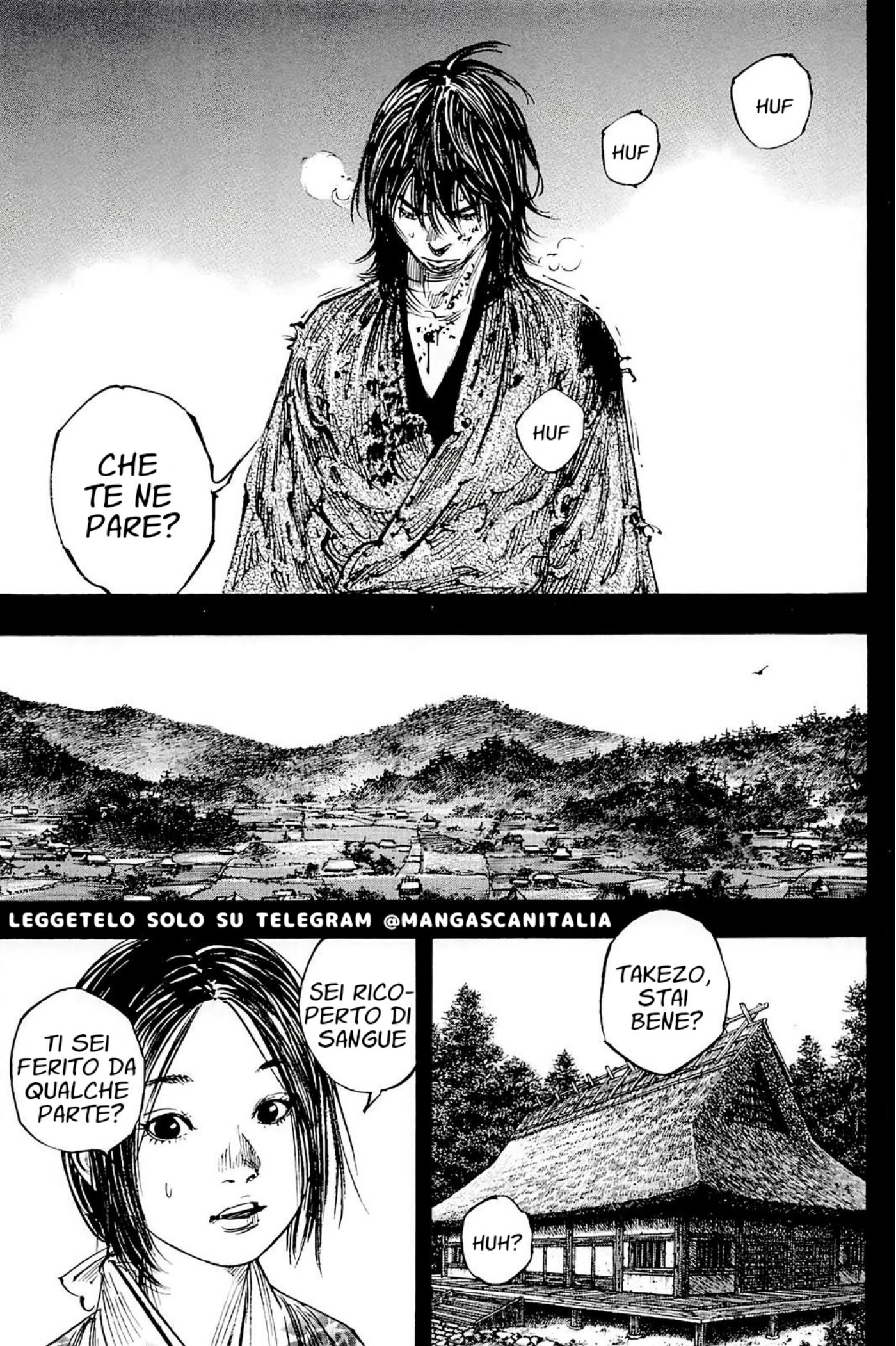Read Vagabond IT Manga Online