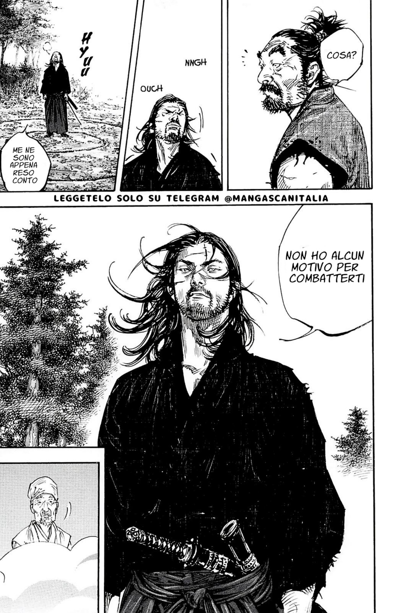 Read Vagabond IT Manga Online