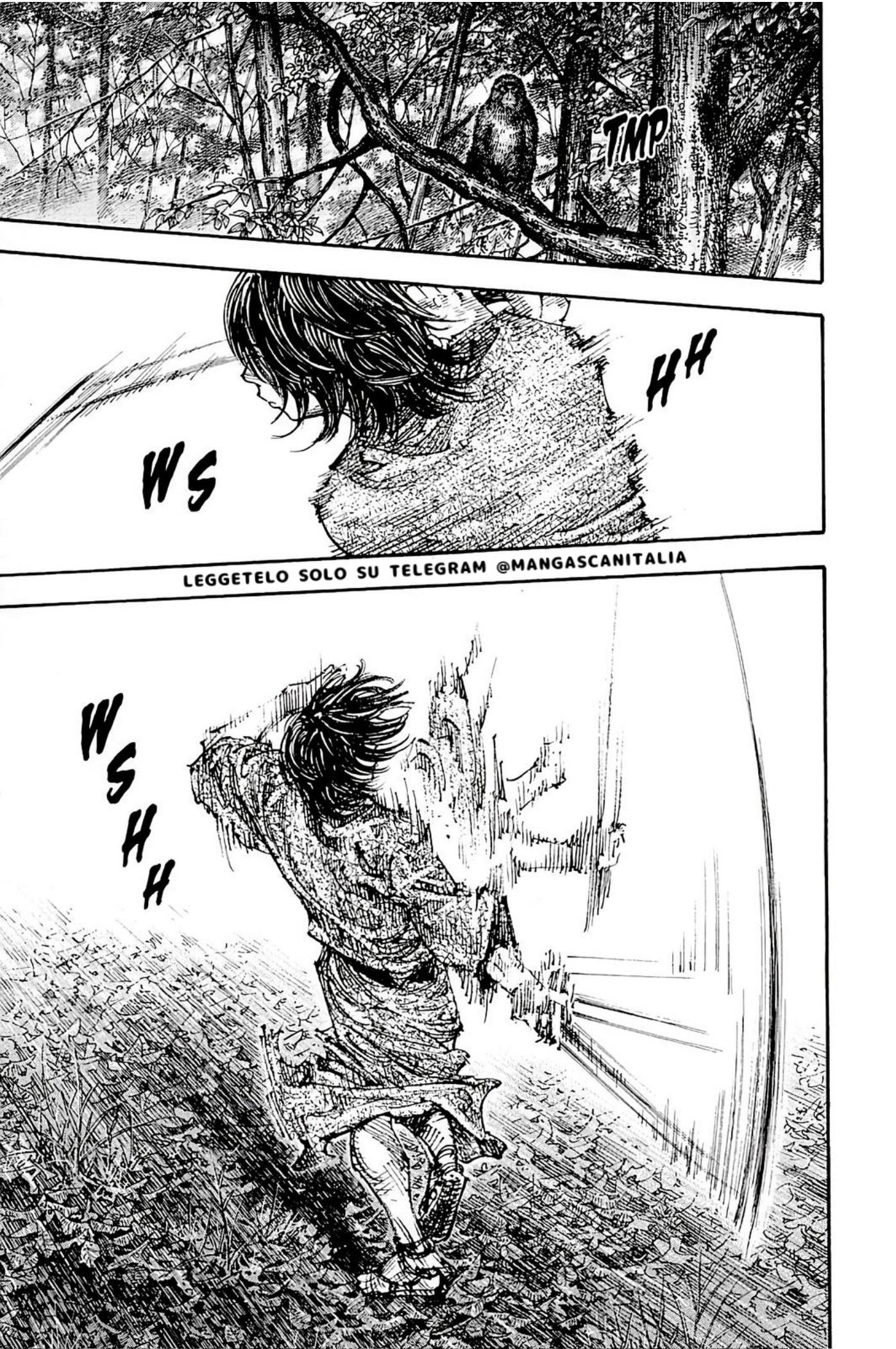 Read Vagabond IT Manga Online