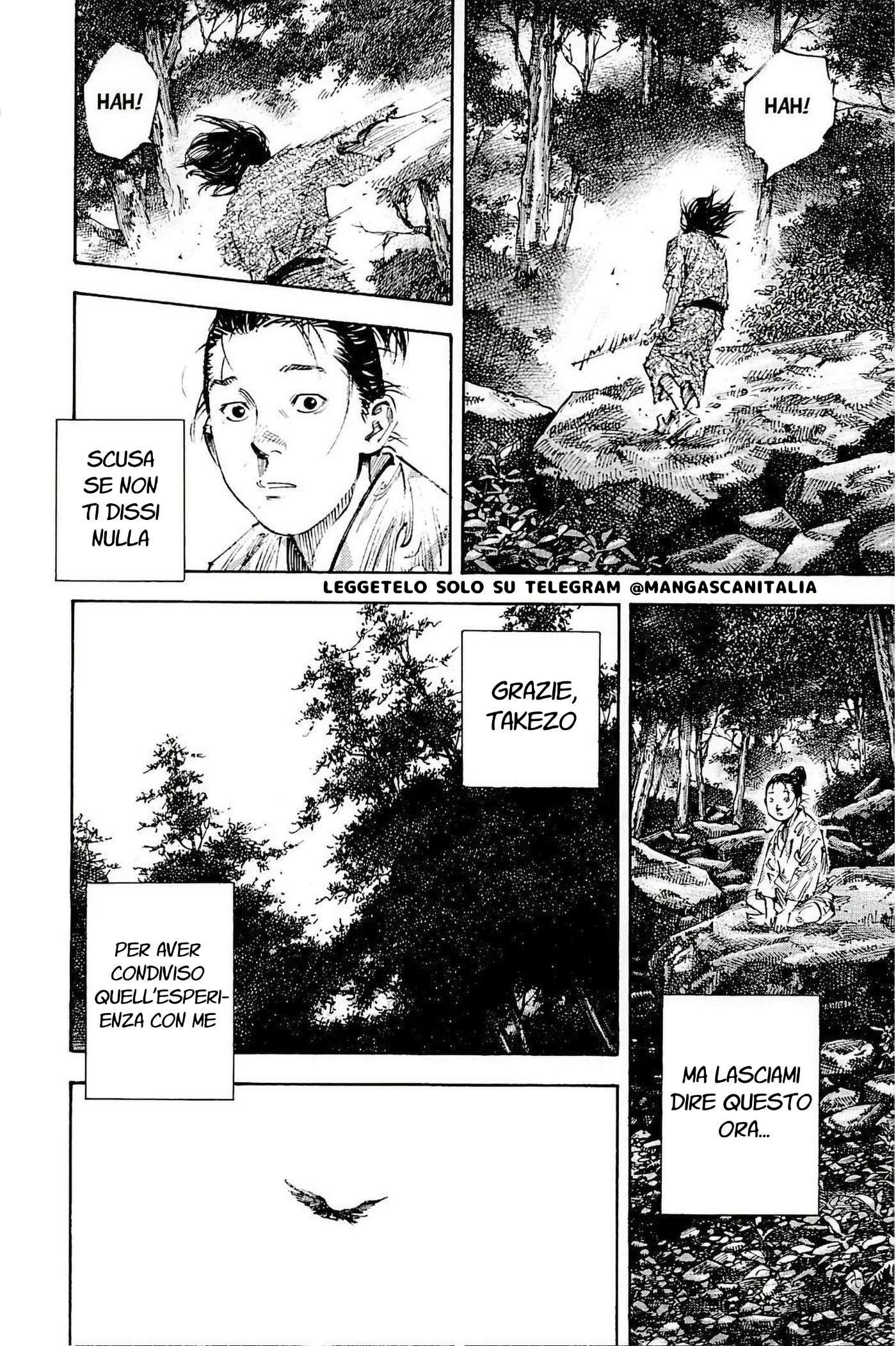 Read Vagabond IT Manga Online