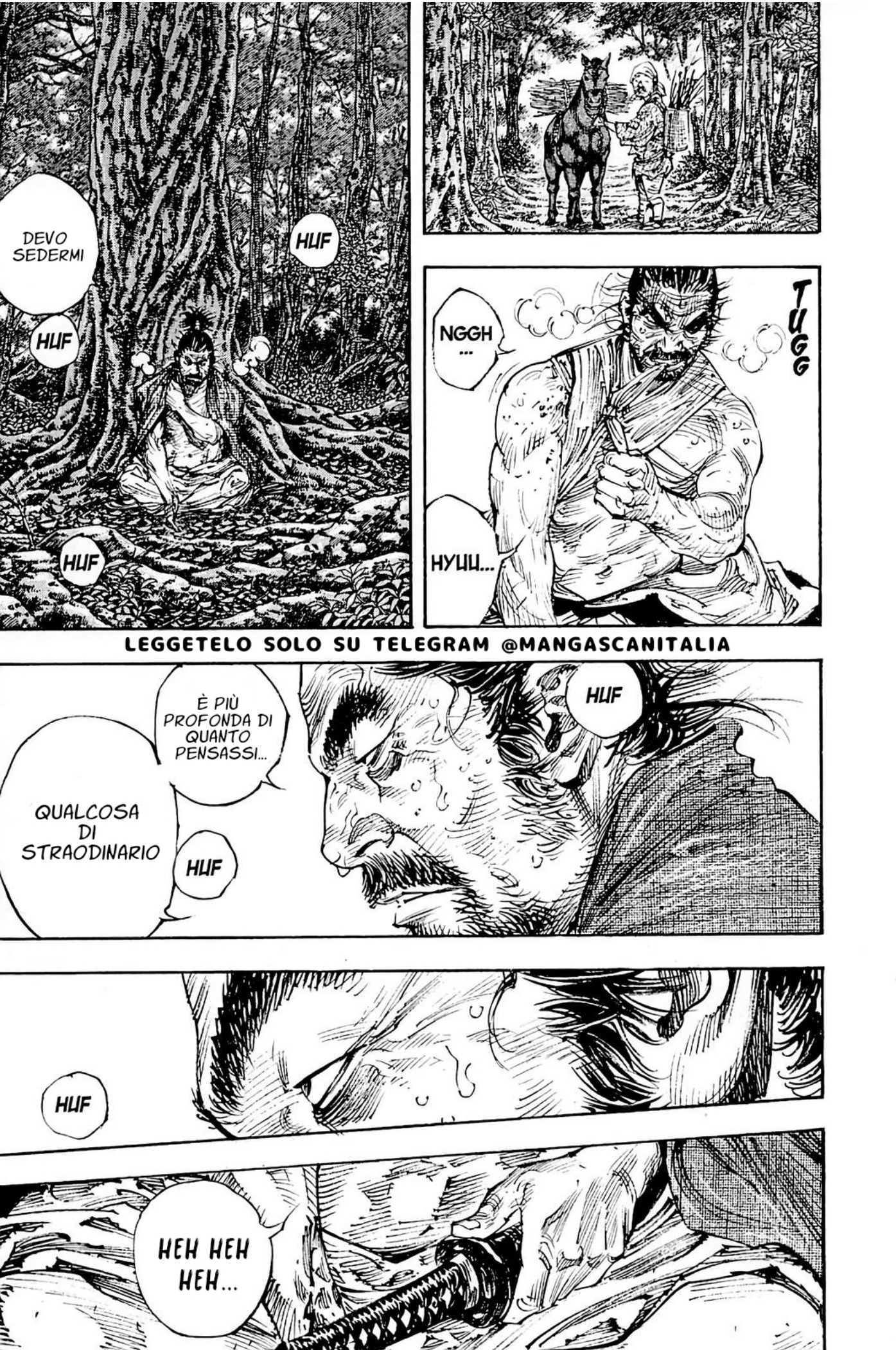 Read Vagabond IT Manga Online