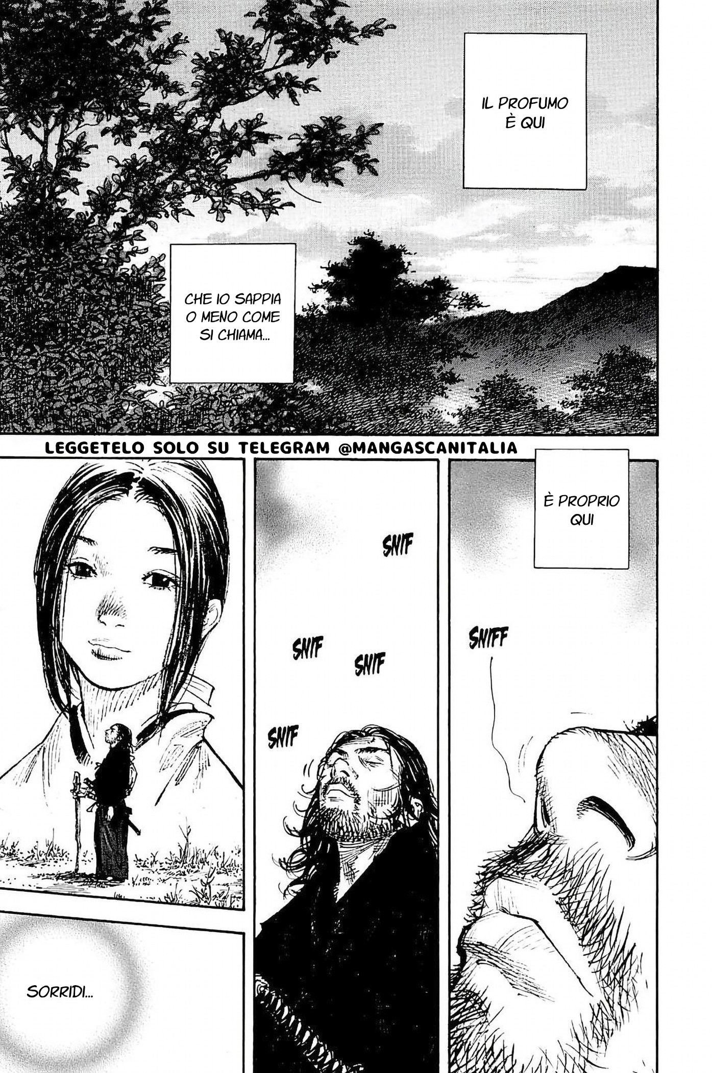 Read Vagabond IT Manga Online