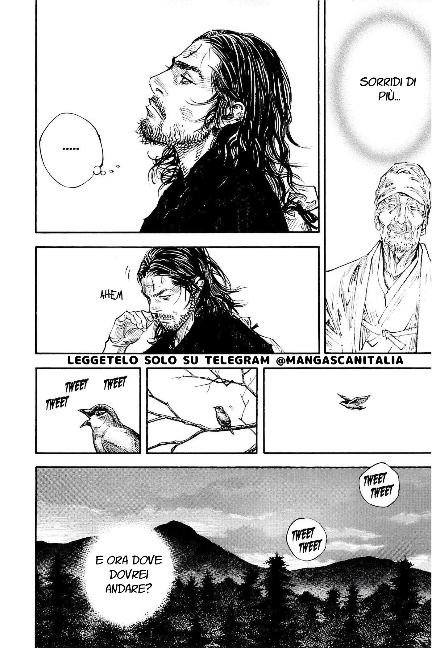 Read Vagabond IT Manga Online