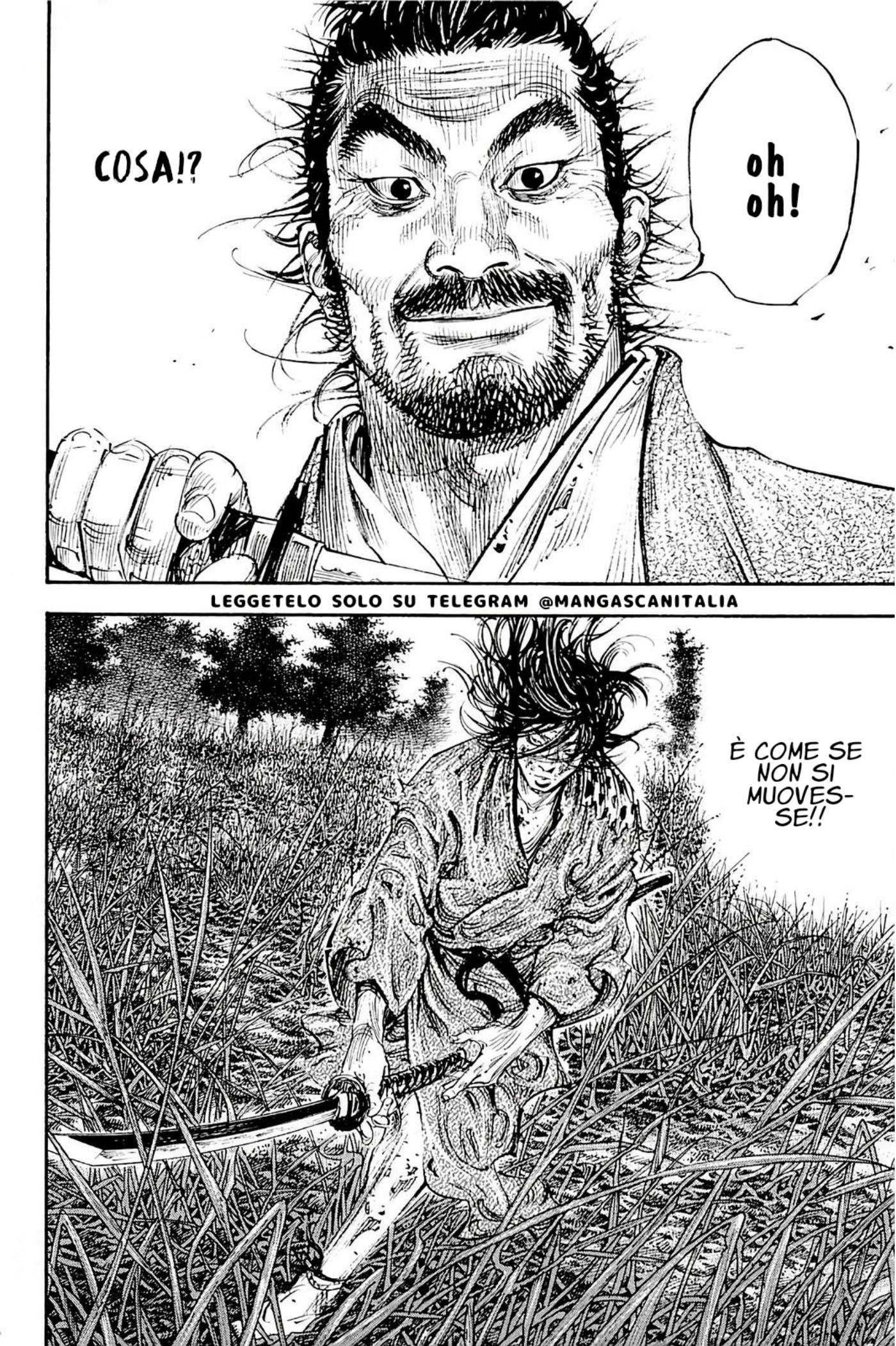 Read Vagabond IT Manga Online
