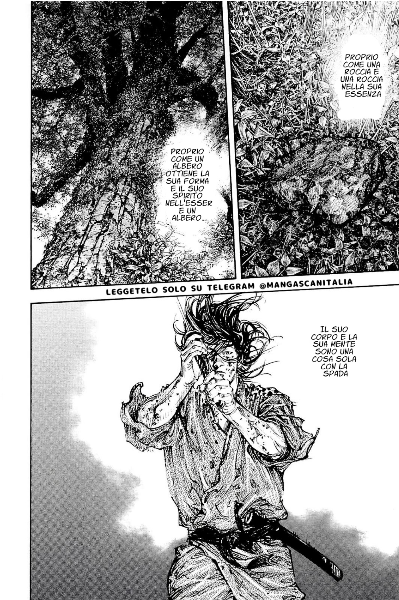 Read Vagabond IT Manga Online