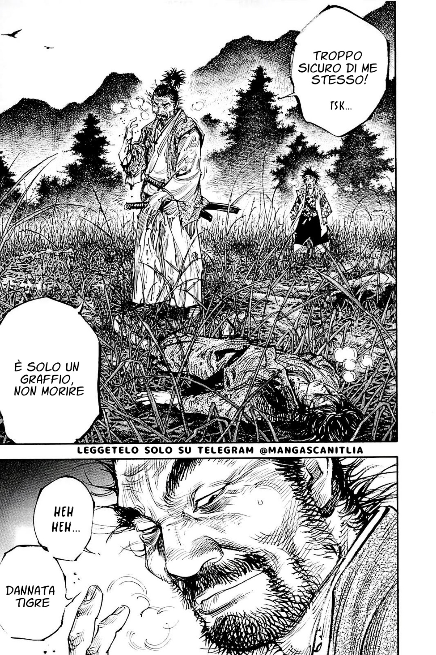 Read Vagabond IT Manga Online