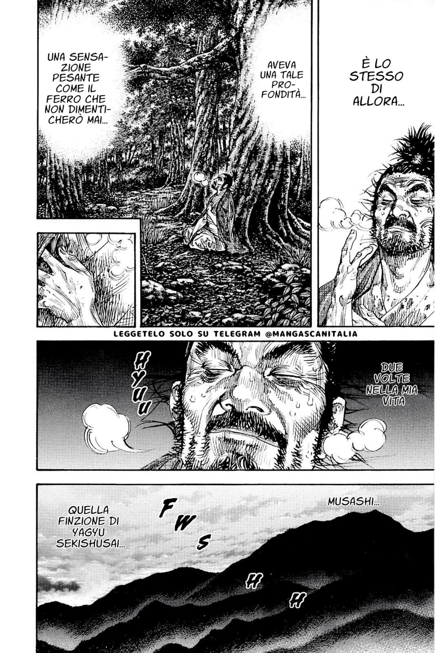 Read Vagabond IT Manga Online