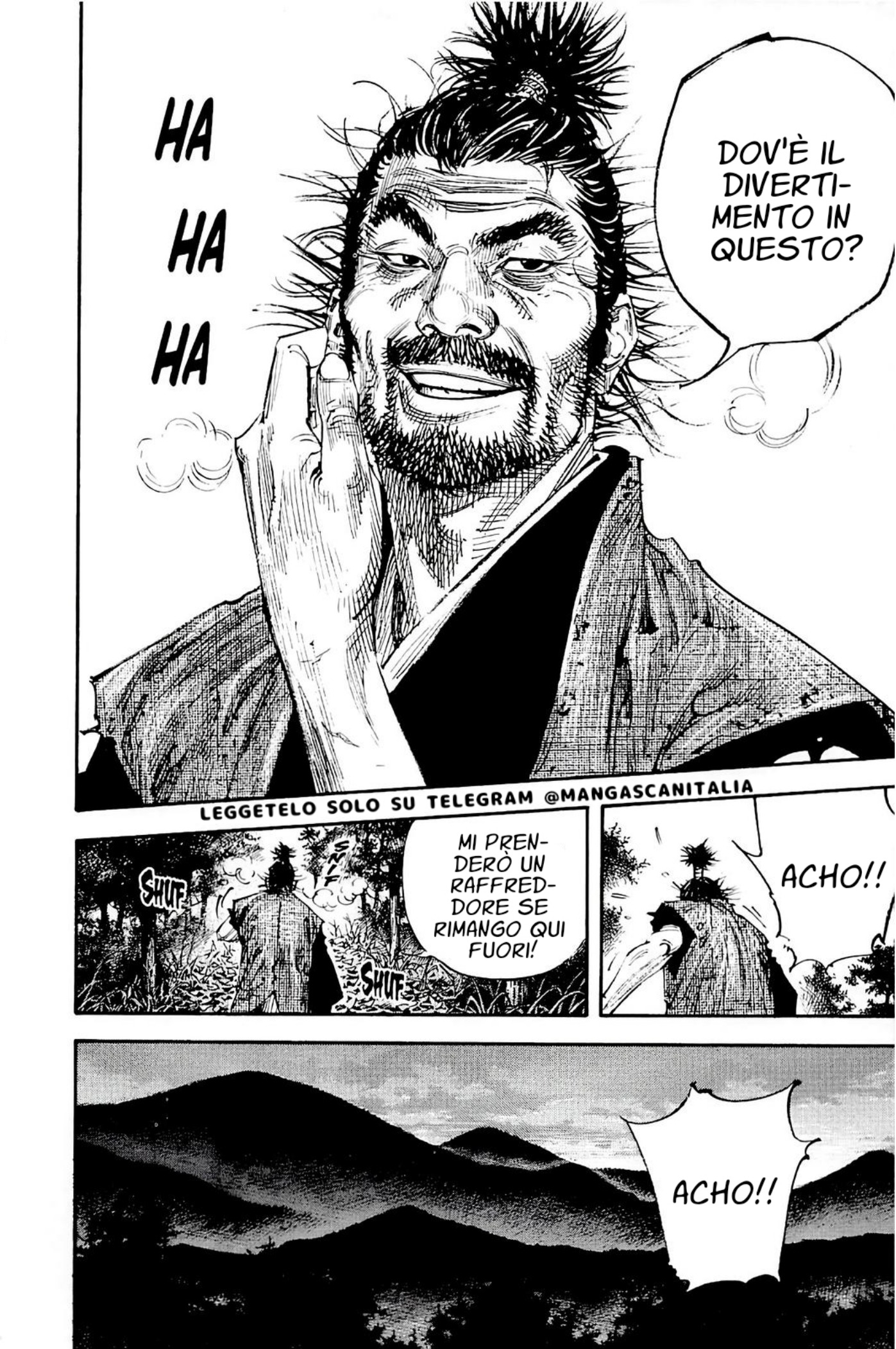 Read Vagabond IT Manga Online