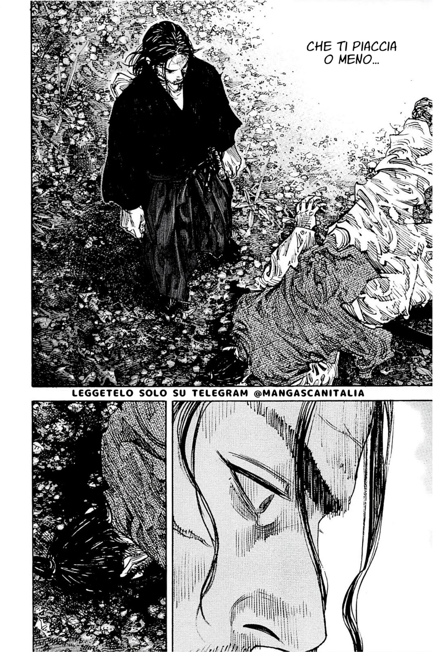 Read Vagabond IT Manga Online