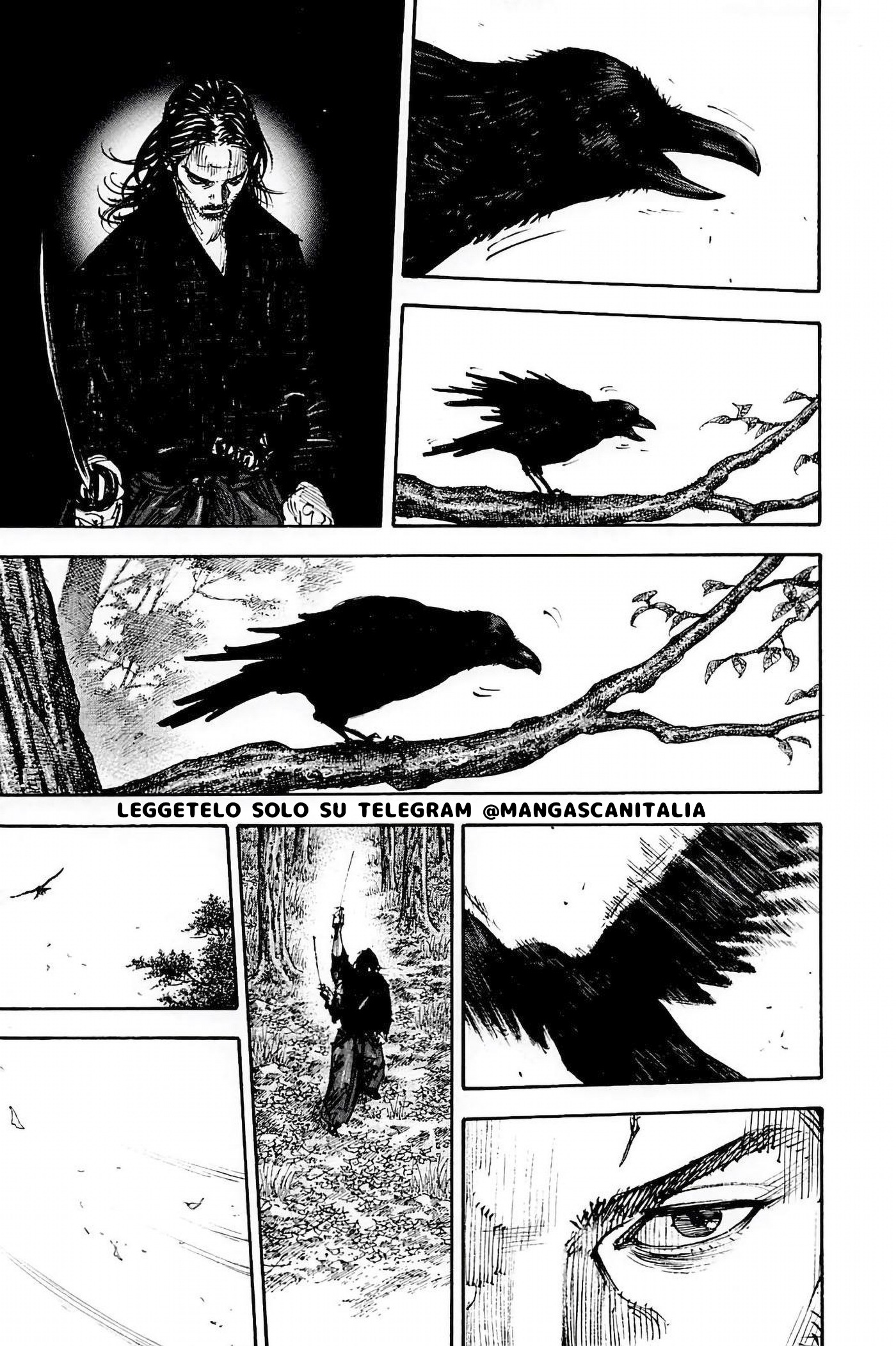 Read Vagabond IT Manga Online