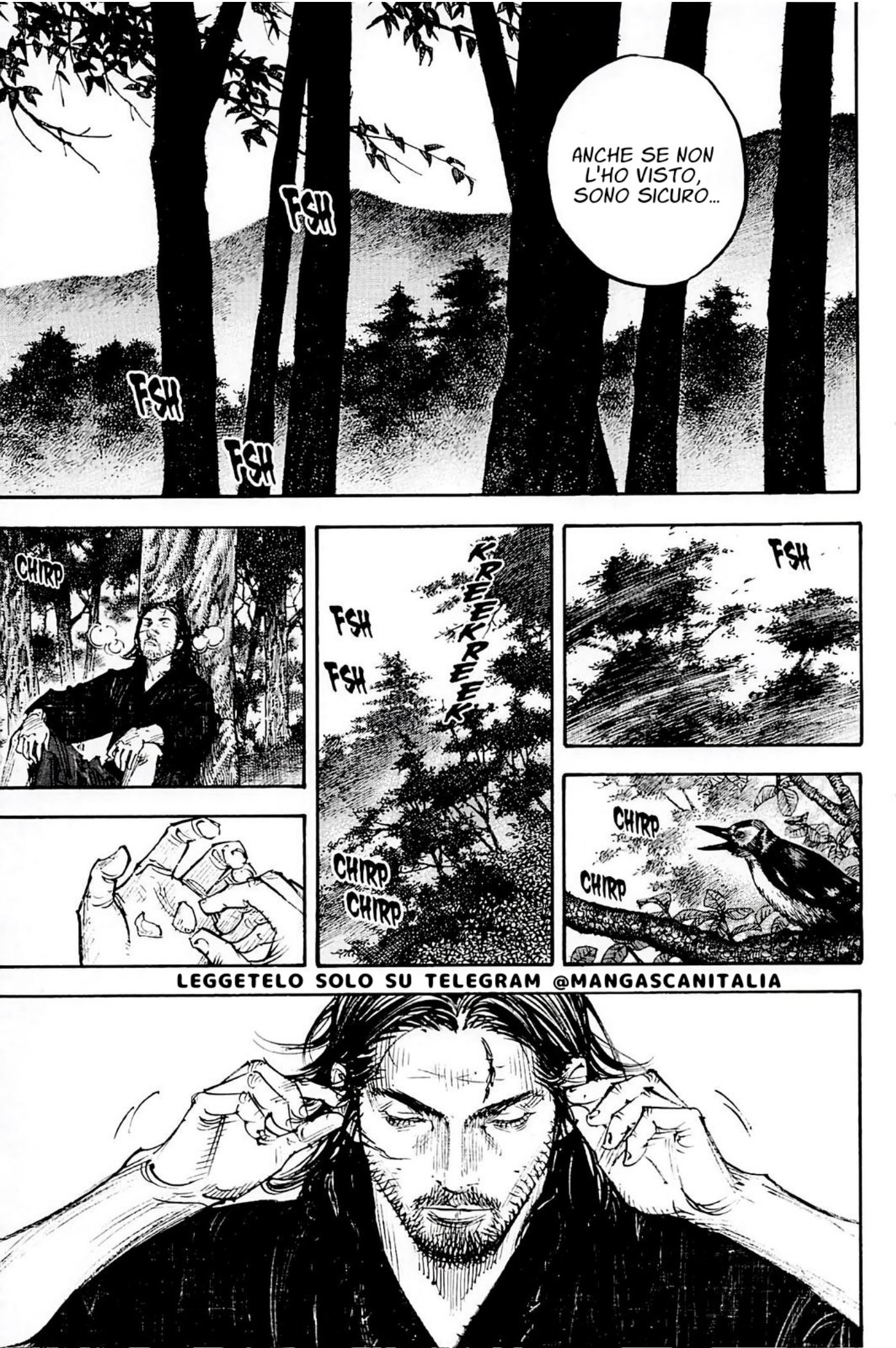 Read Vagabond IT Manga Online