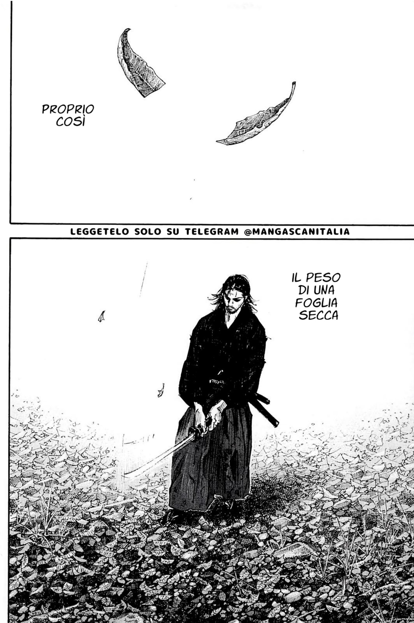 Read Vagabond IT Manga Online