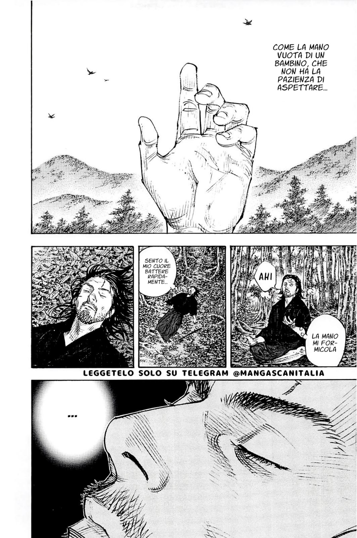 Read Vagabond IT Manga Online