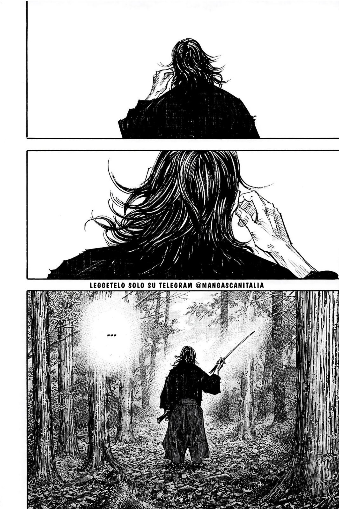 Read Vagabond IT Manga Online