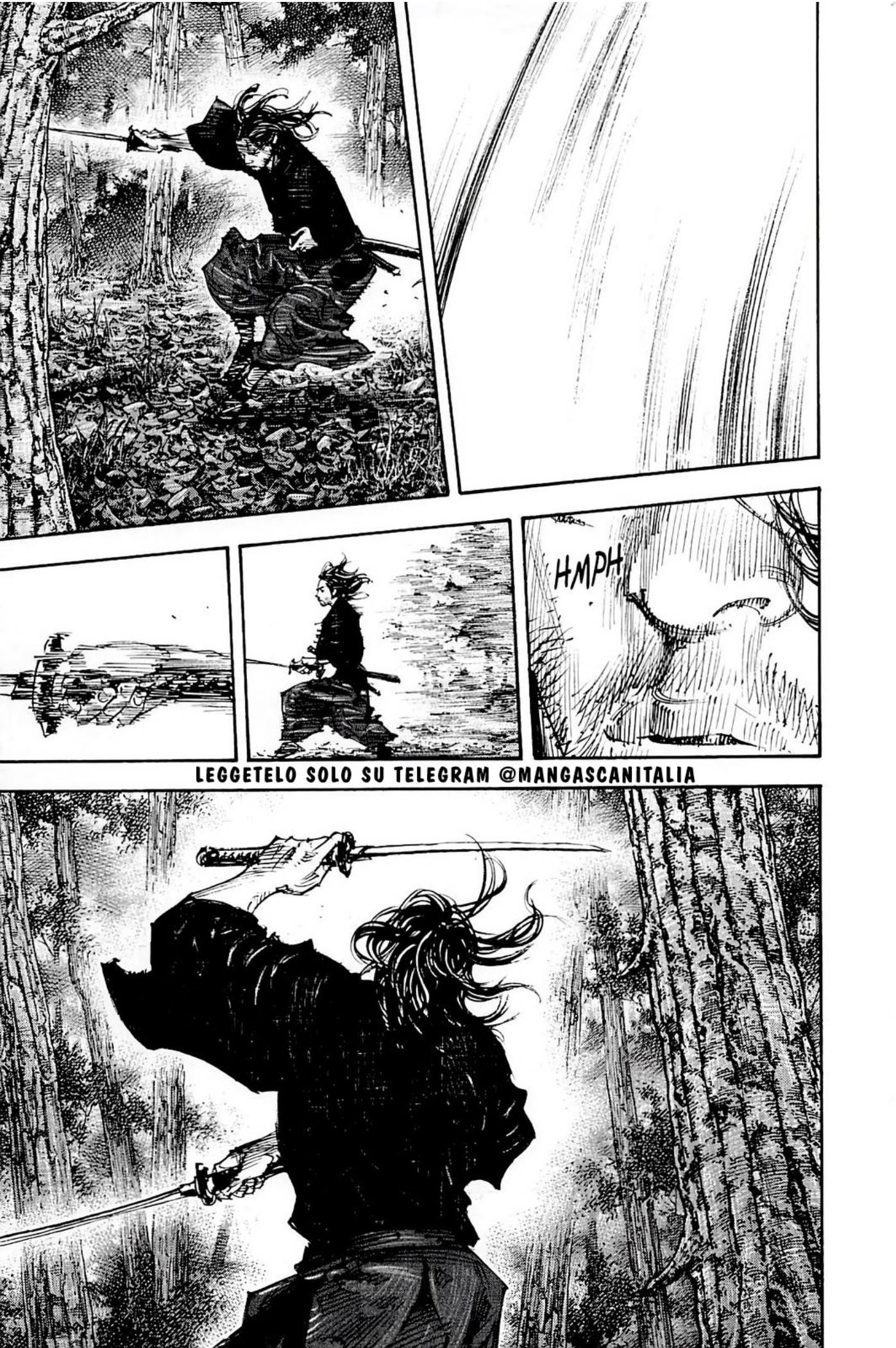 Read Vagabond IT Manga Online