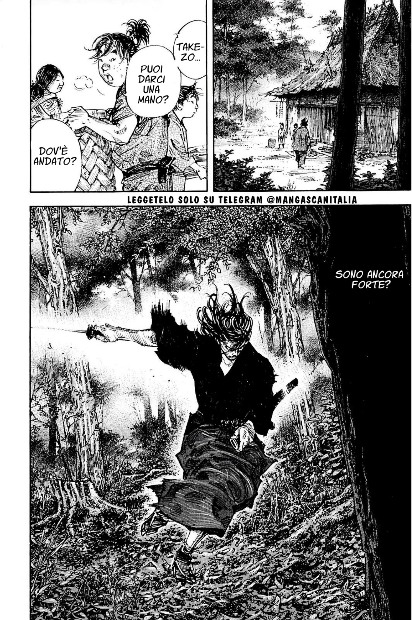 Read Vagabond IT Manga Online