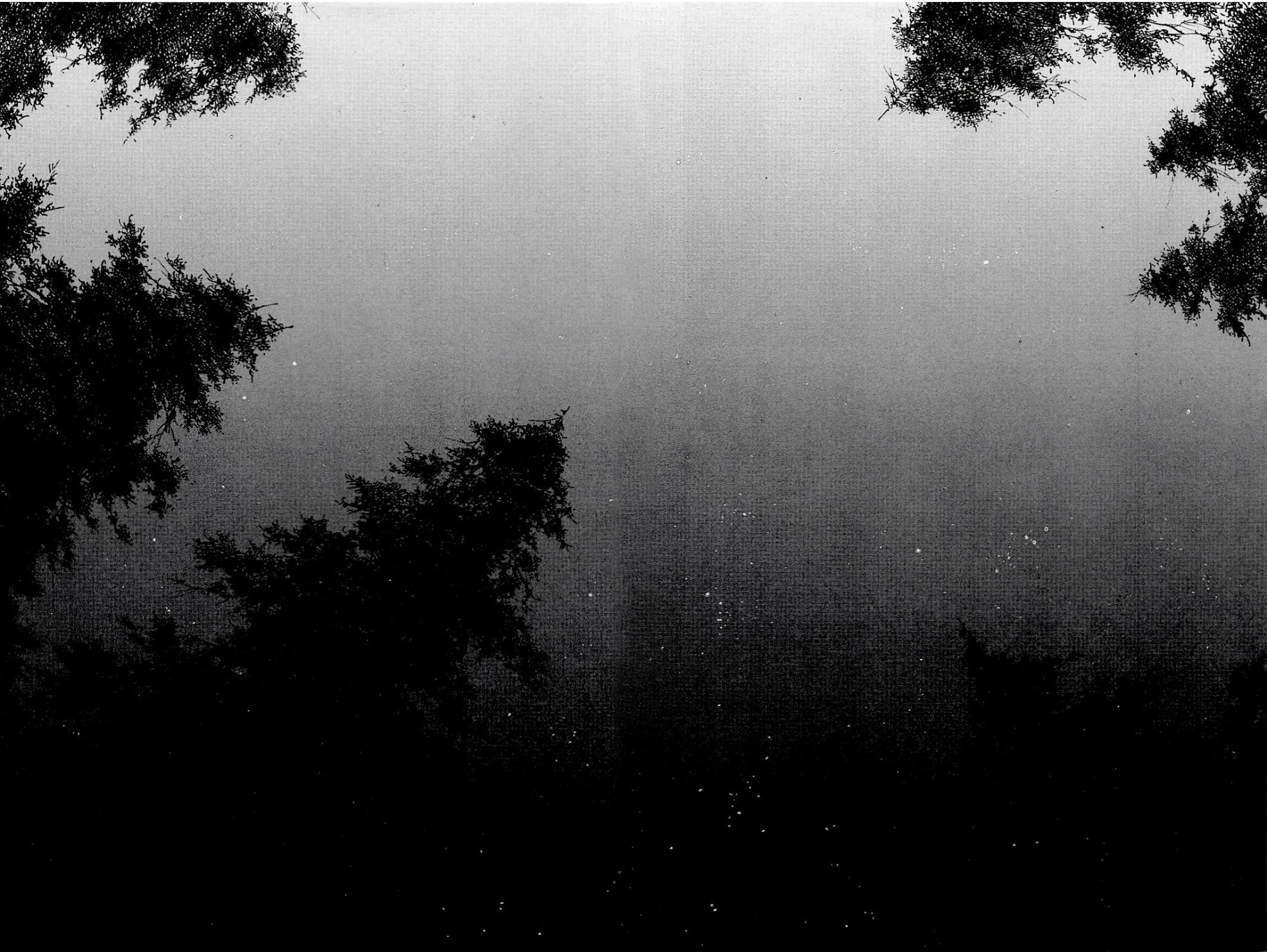 Read Vagabond IT Manga Online