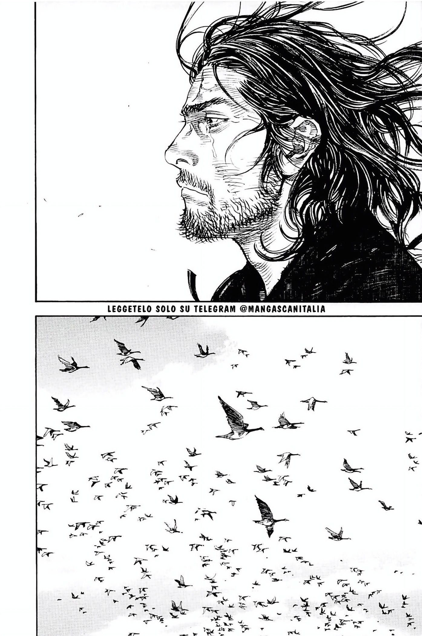 Read Vagabond IT Manga Online