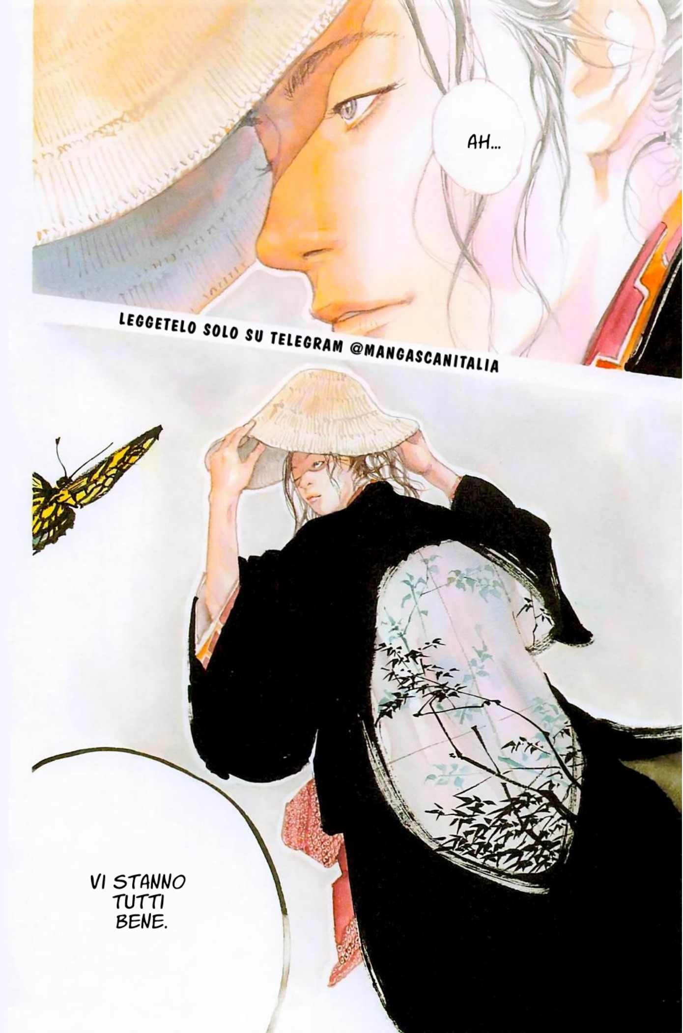 Read Vagabond IT Manga Online