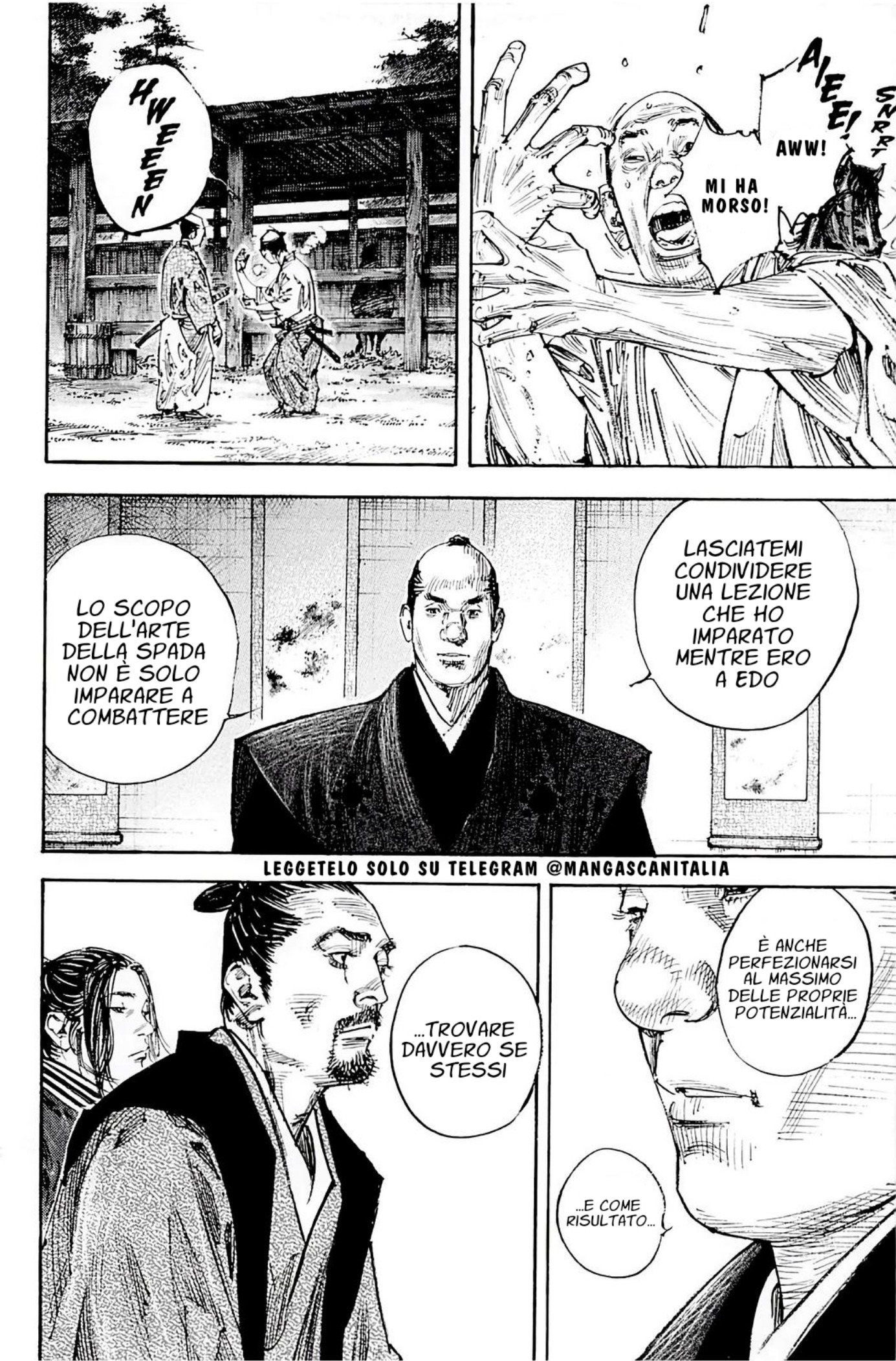 Read Vagabond IT Manga Online