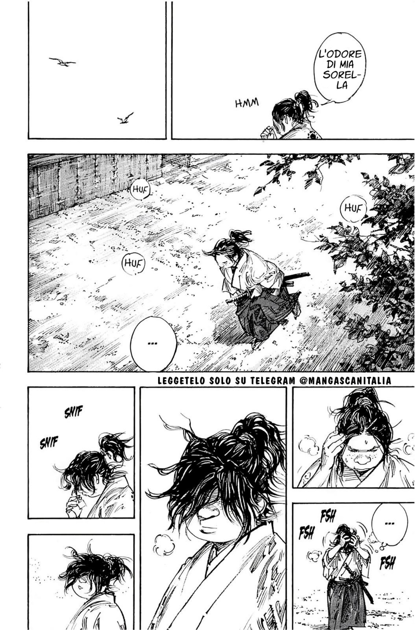 Read Vagabond IT Manga Online
