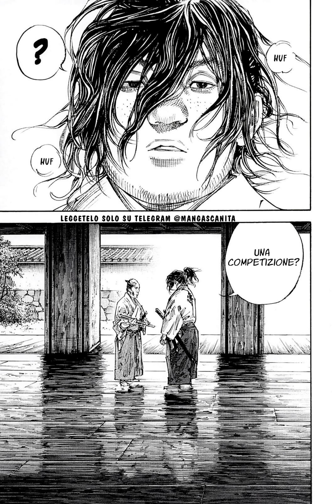 Read Vagabond IT Manga Online