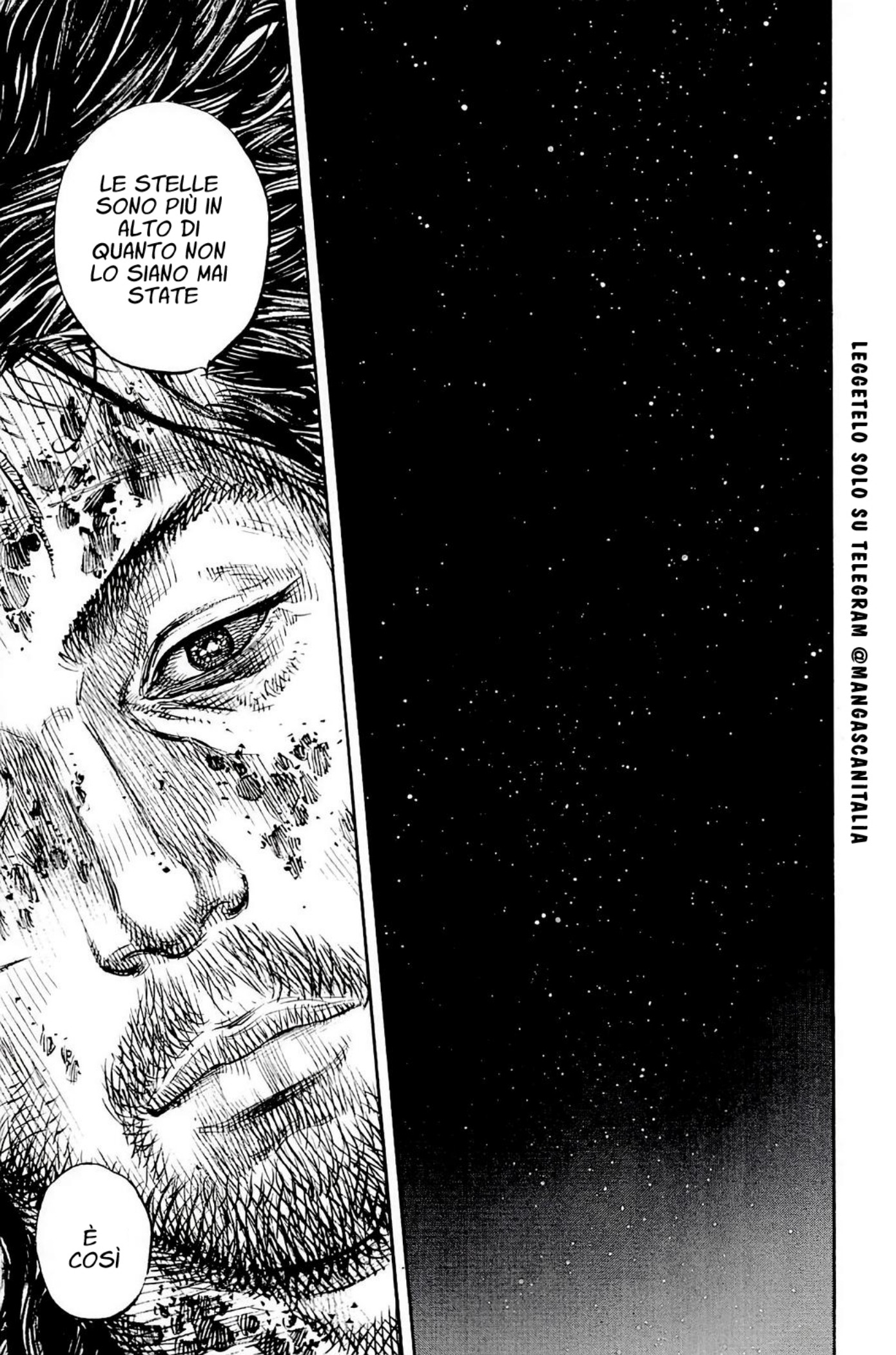 Read Vagabond IT Manga Online