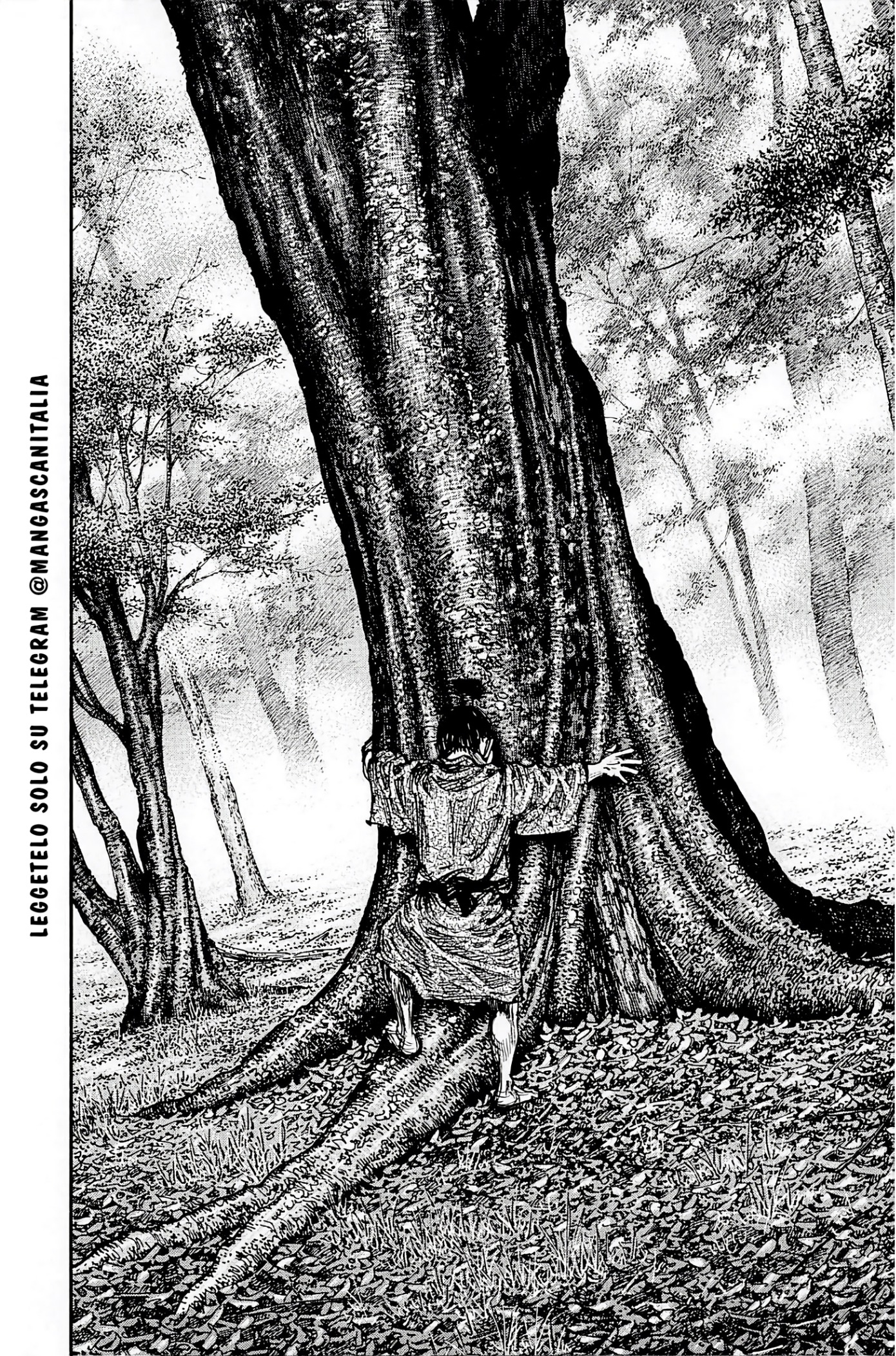 Read Vagabond IT Manga Online