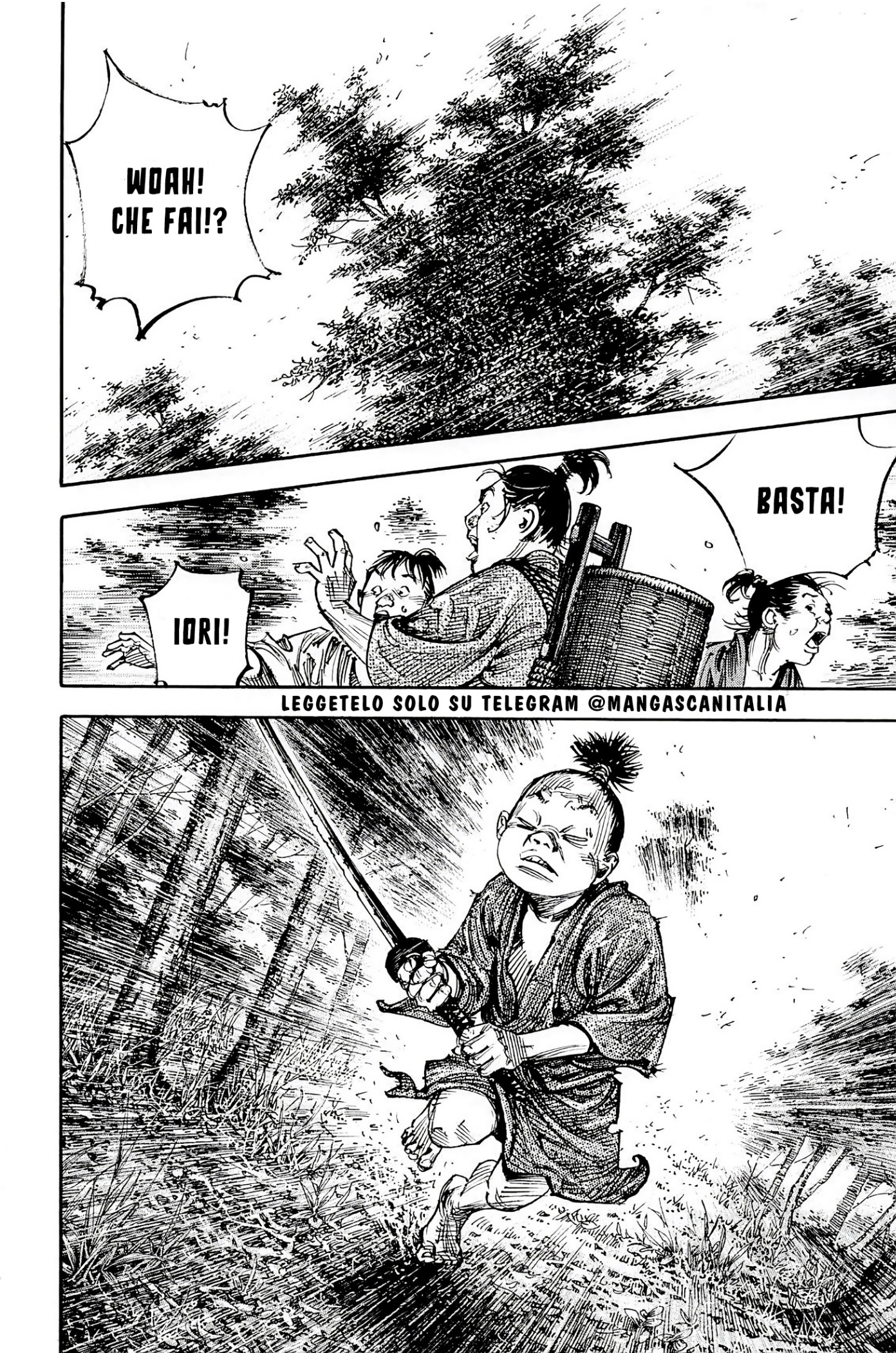 Read Vagabond IT Manga Online