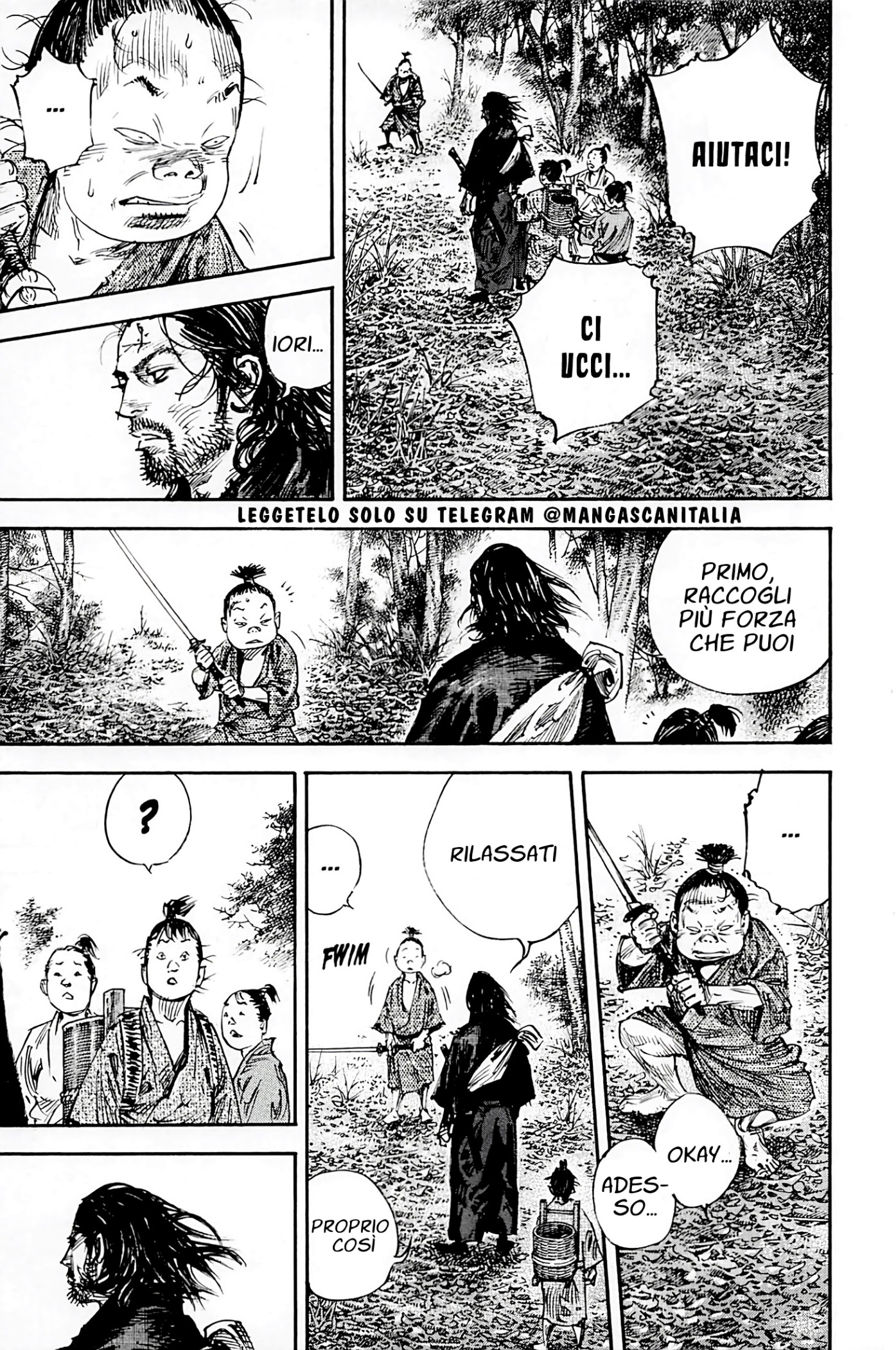 Read Vagabond IT Manga Online