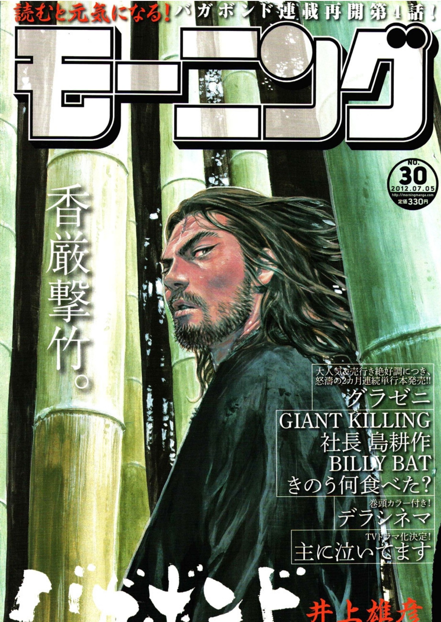 Read Vagabond IT Manga Online