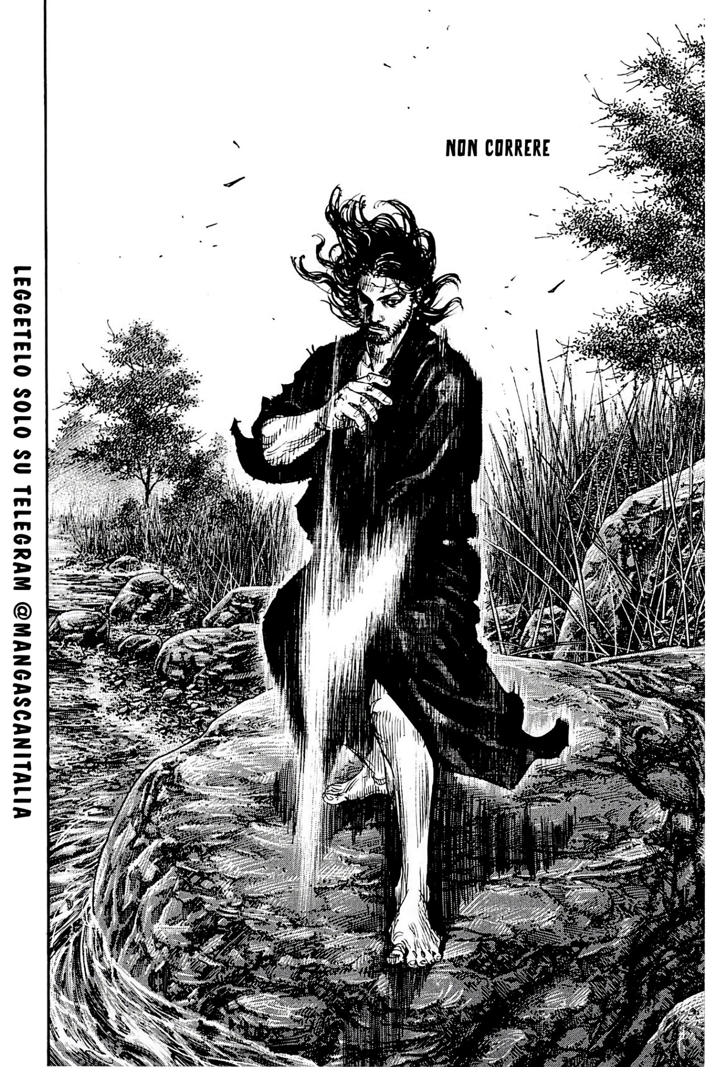 Read Vagabond IT Manga Online