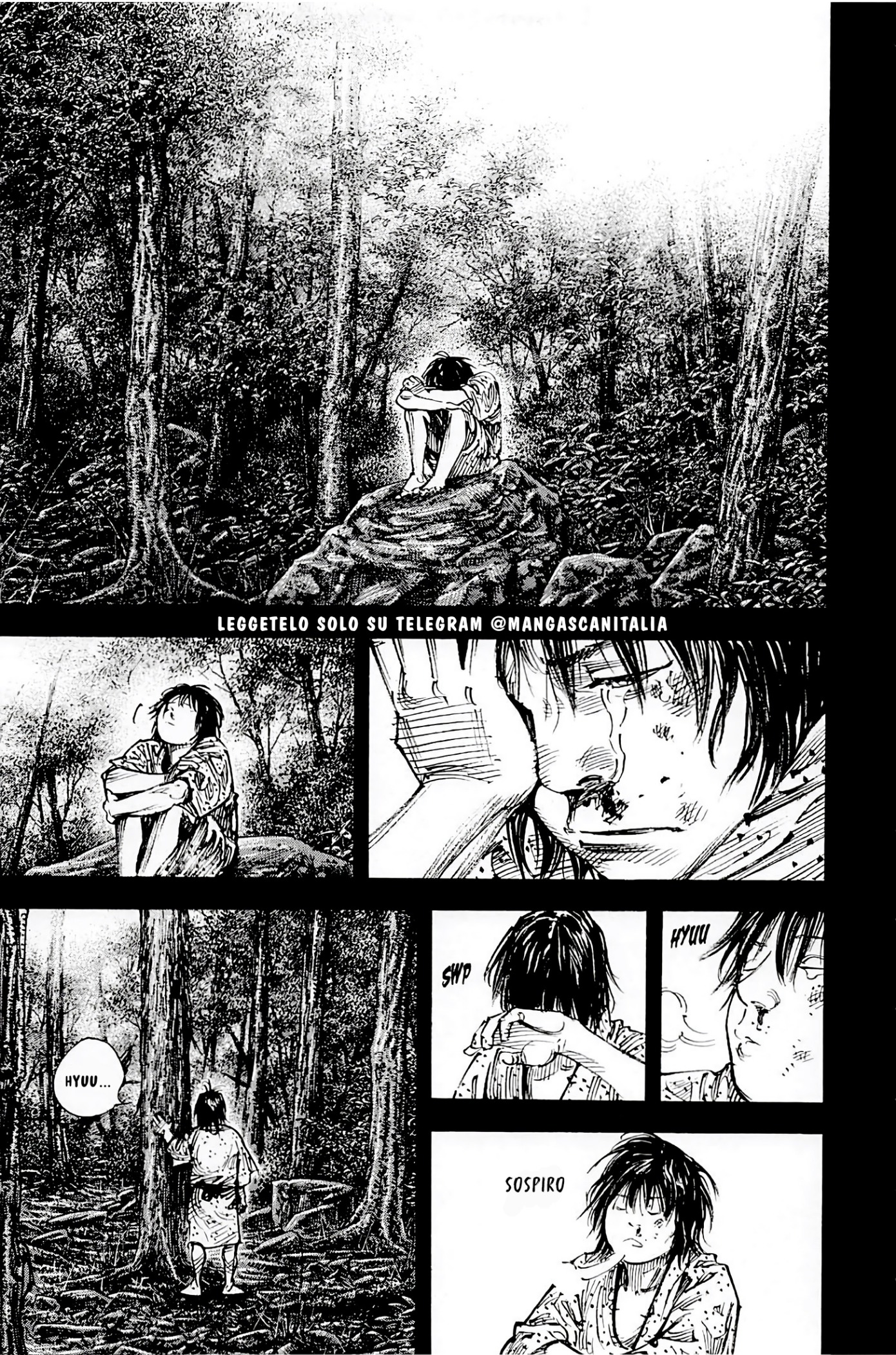 Read Vagabond IT Manga Online