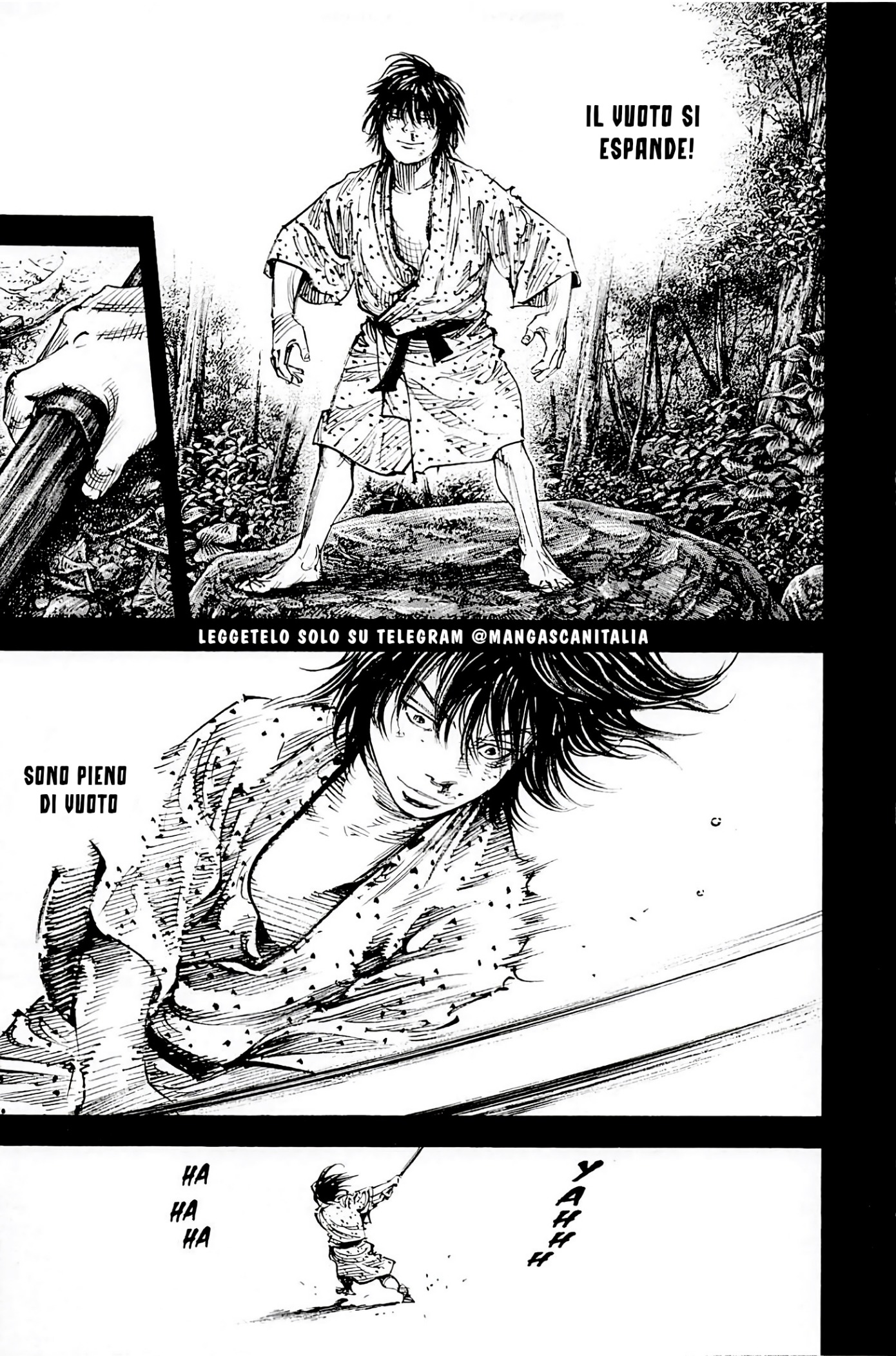 Read Vagabond IT Manga Online
