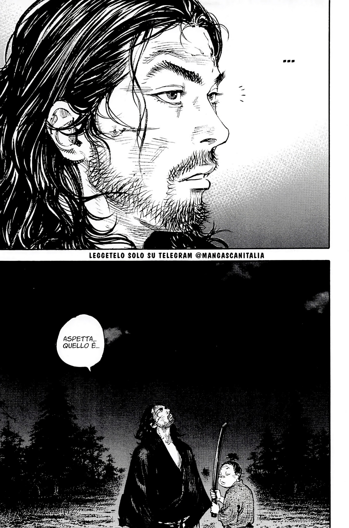 Read Vagabond IT Manga Online