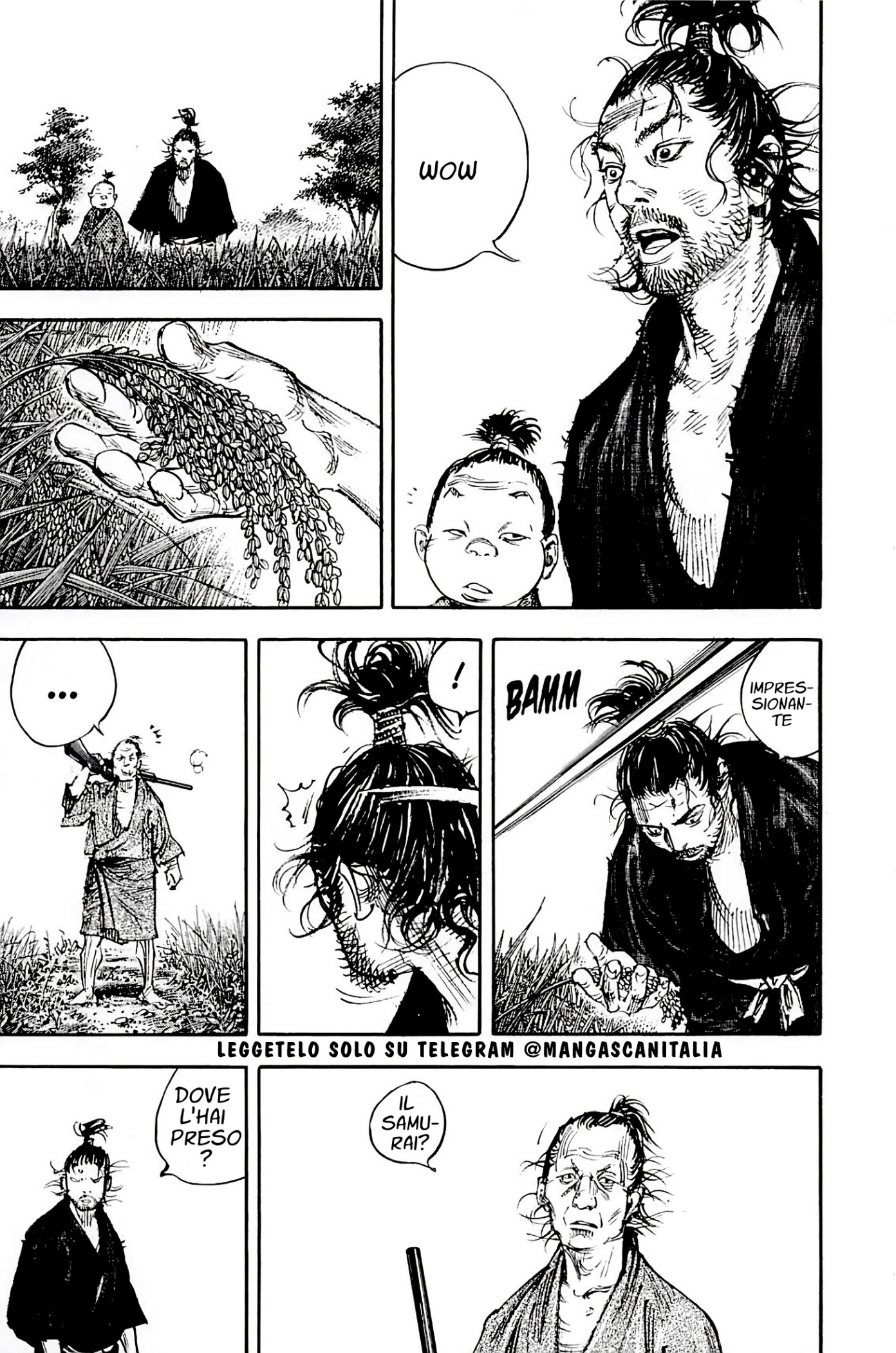 Read Vagabond IT Manga Online
