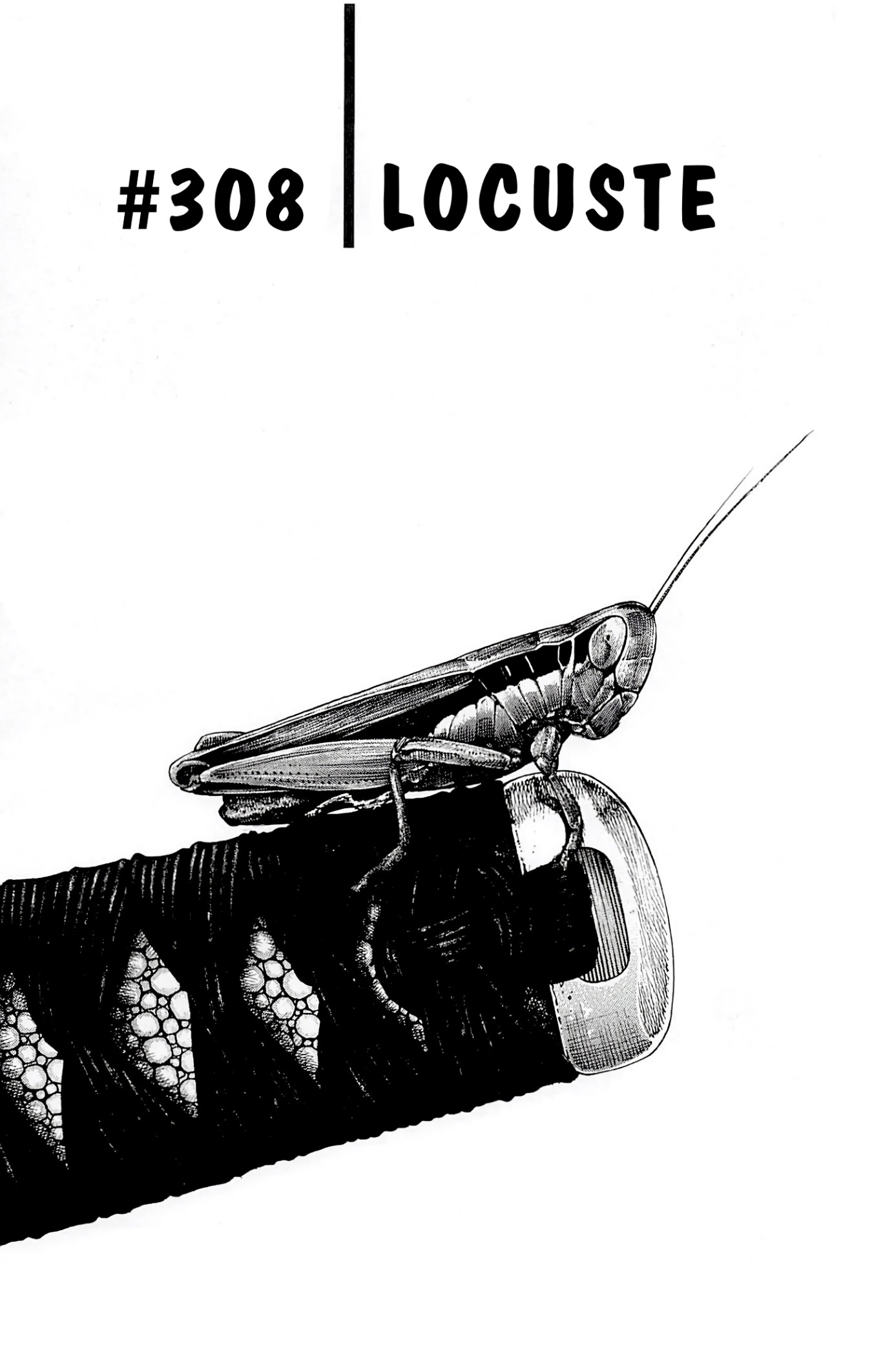 Read Vagabond IT Manga Online