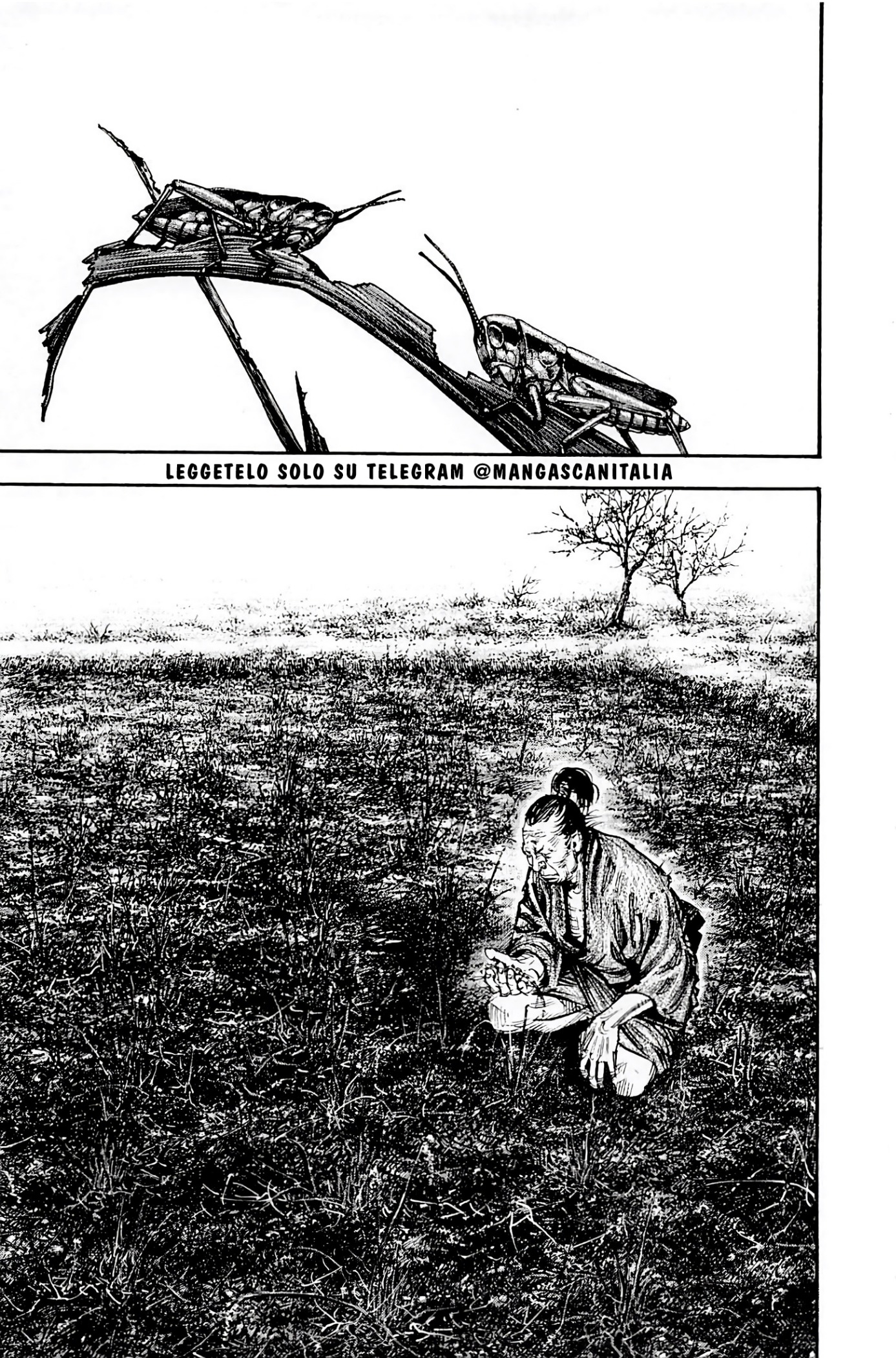 Read Vagabond IT Manga Online