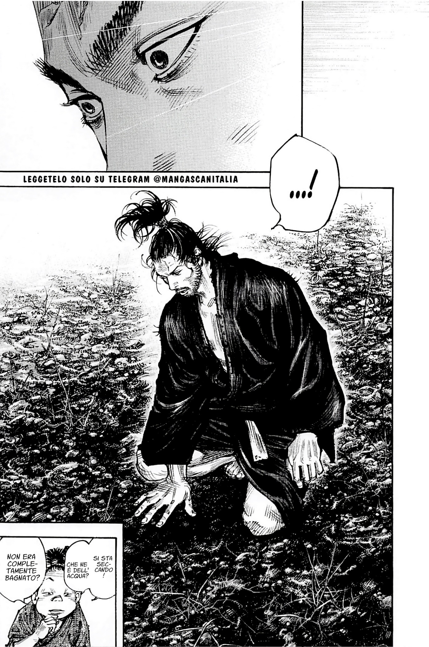 Read Vagabond IT Manga Online