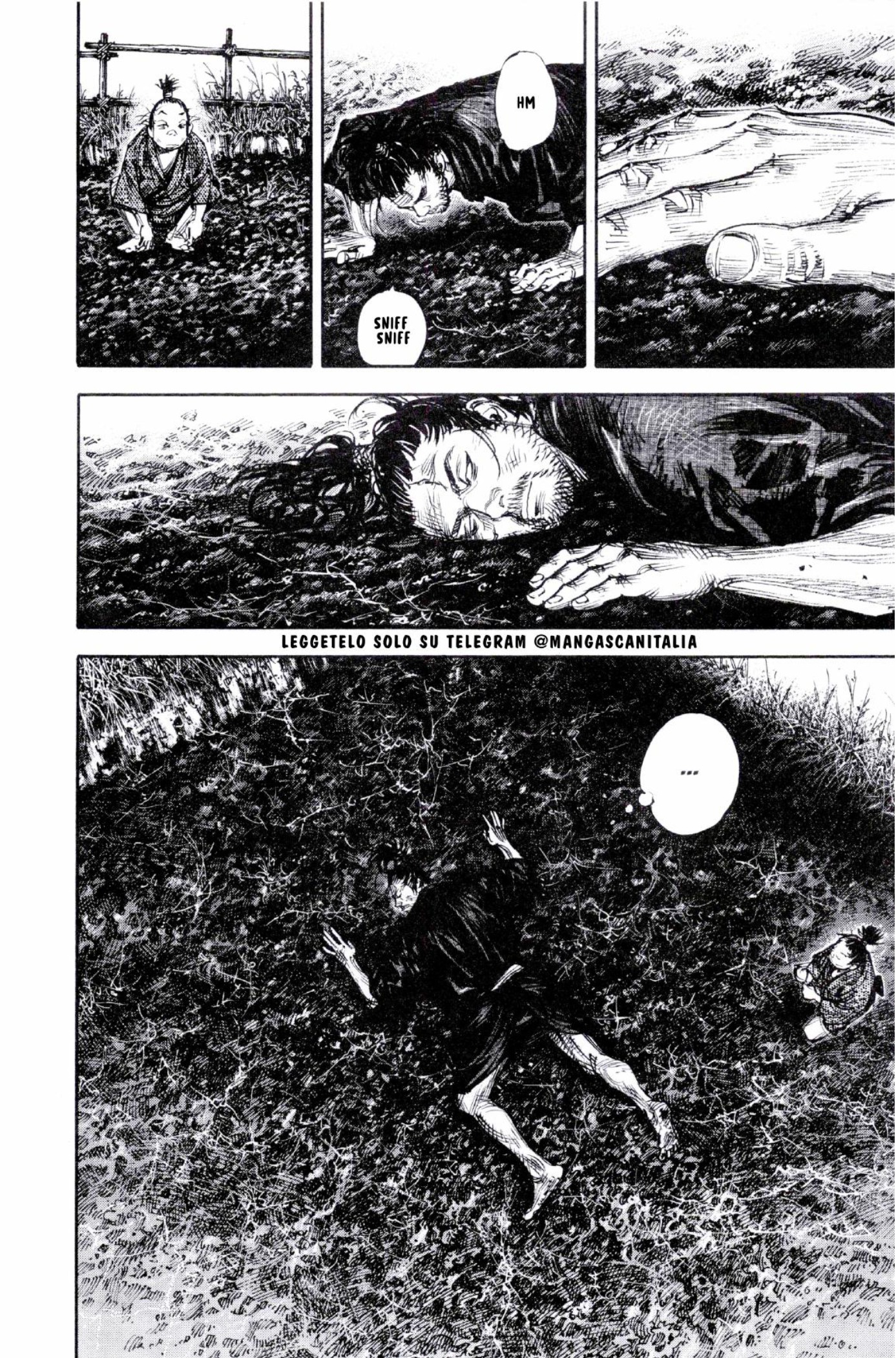 Read Vagabond IT Manga Online